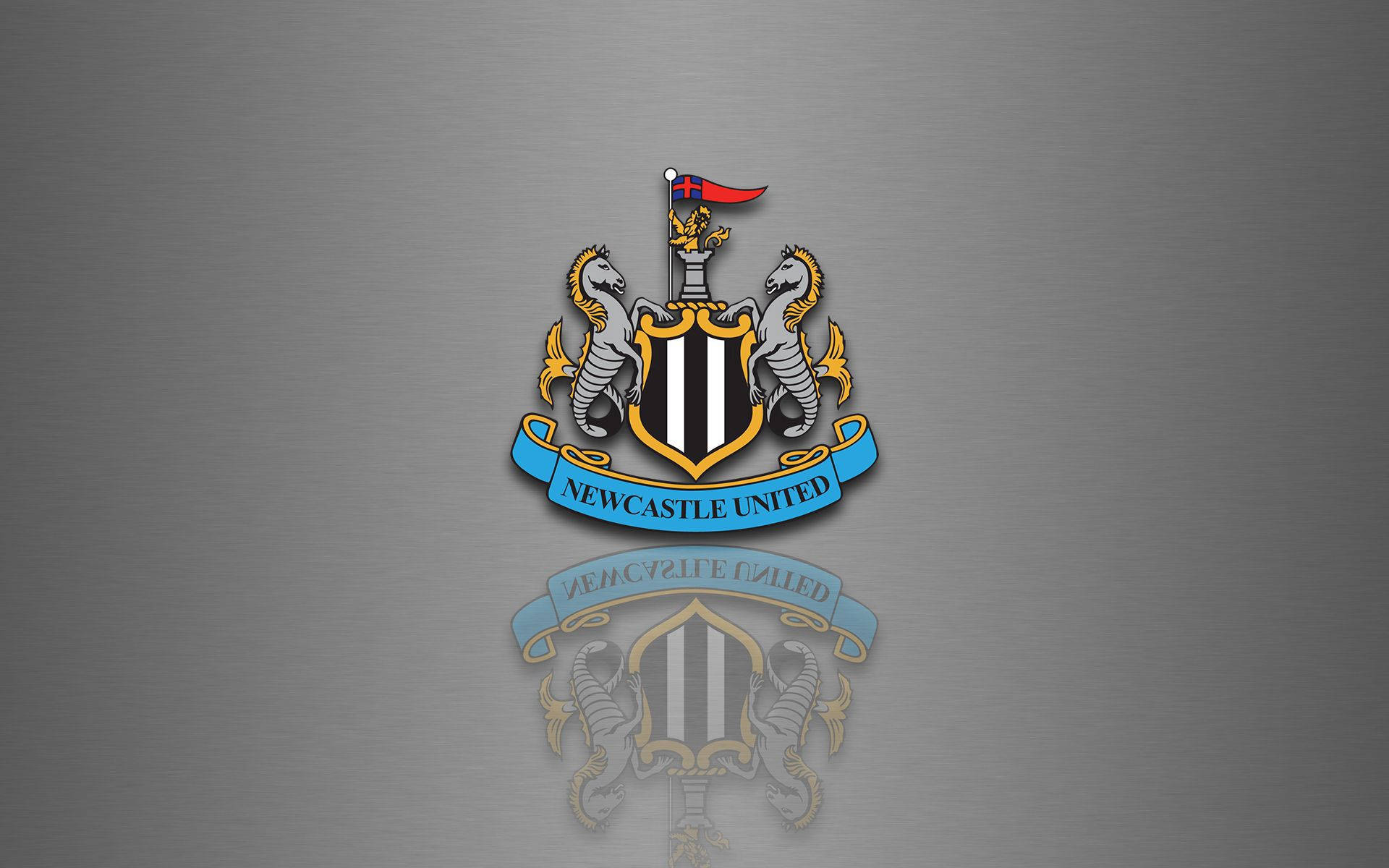 O mulțime zgomotoasă privește cum Newcastle United F.C. intră pe teren! Fundal