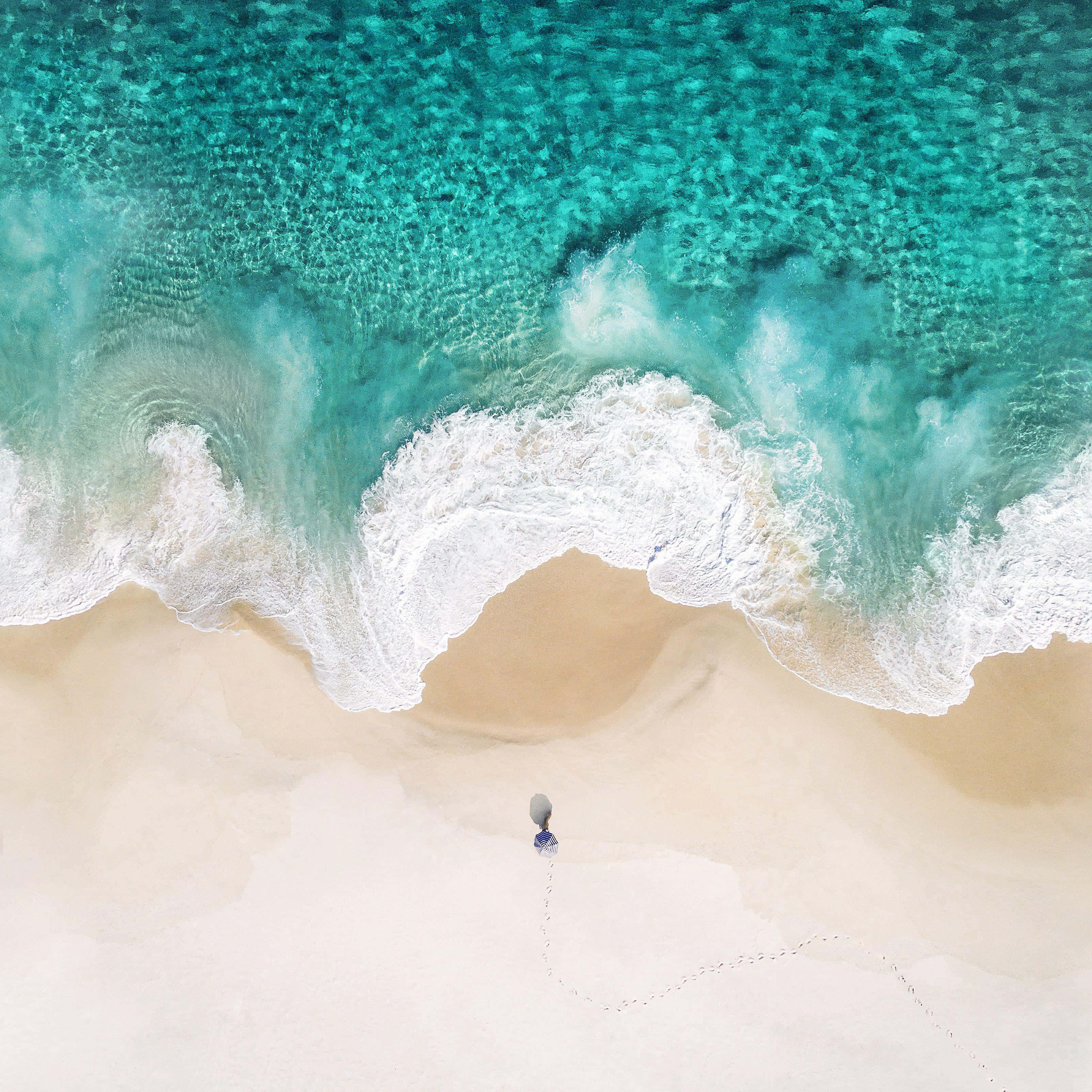 o persoană se plimbă pe plajă lângă ocean Fundal