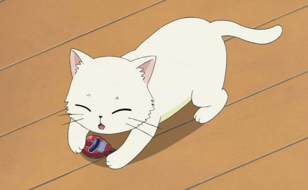 O pisică anime adorabilă pornește într-o aventură Fundal