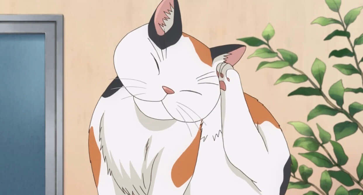 O pisică anime atât de drăguță cu ochelari! Fundal