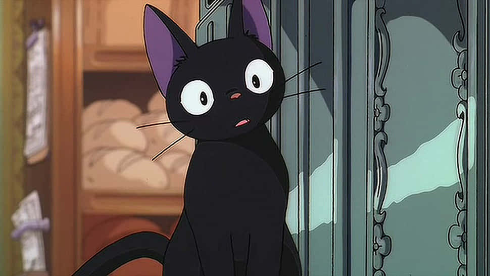 O pisică anime cu ochi albaștri bucurându-se de apus Fundal