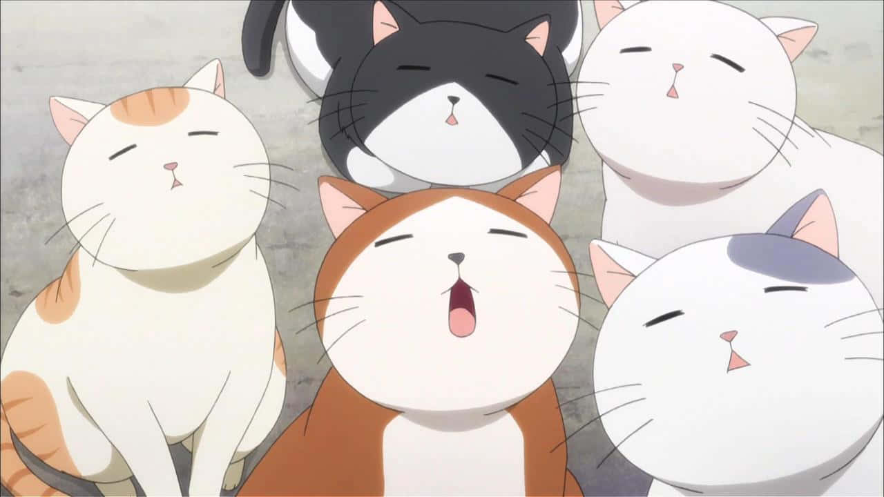 O pisică anime curioasă explorând lumea Fundal