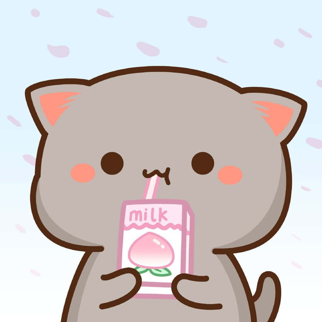 o pisică care bea lapte dintr-o cutie de carton Fundal