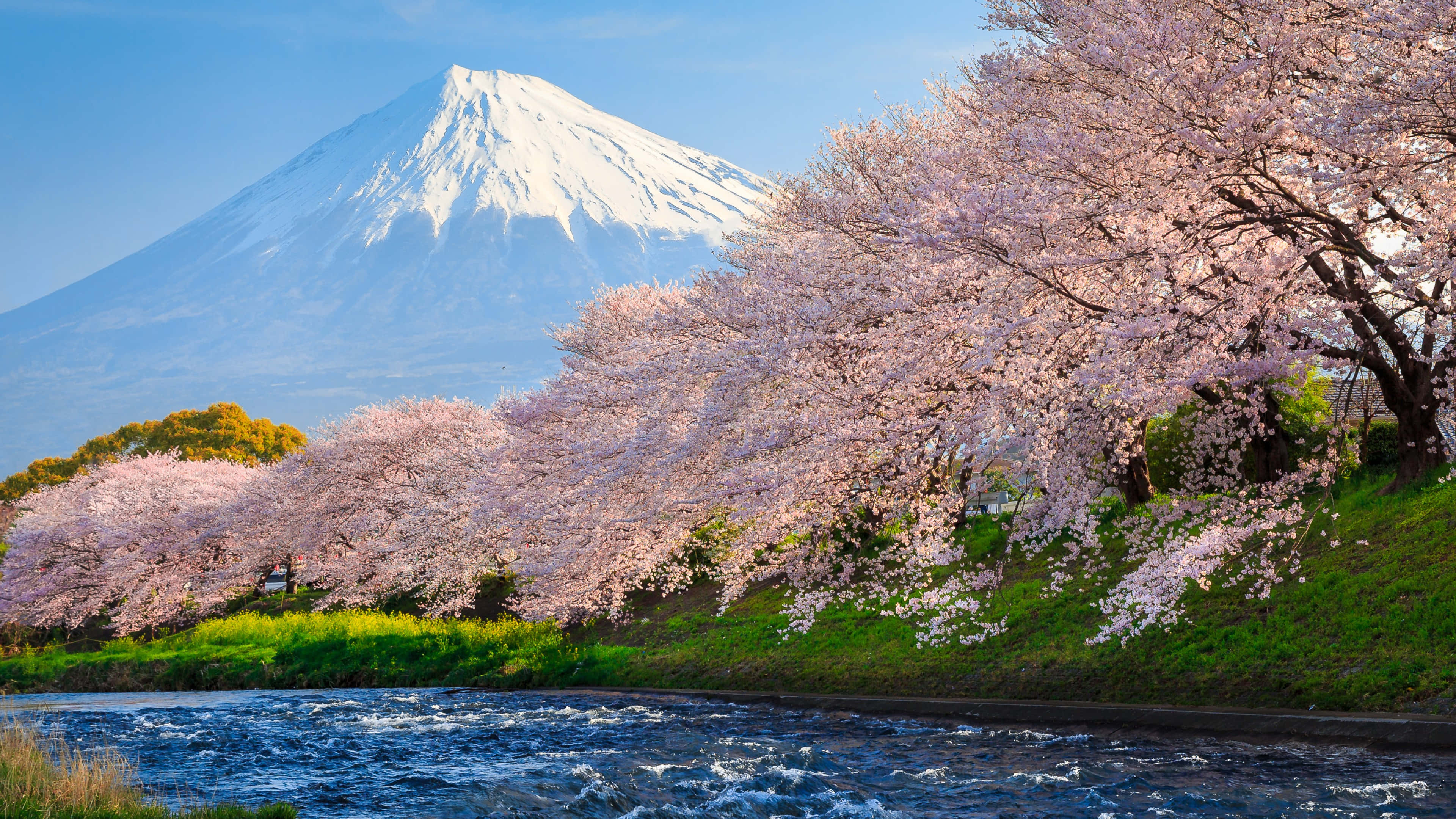 O priveliște uluitoare a caselor tradiționale și verdeaței din Japonia rurală Fundal
