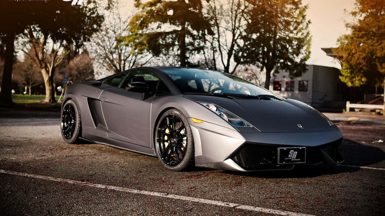O privire asupra acțiunii de joc de mare viteză din Project Cars Fundal