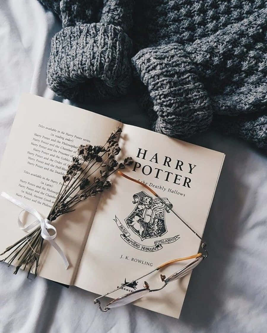O privire de vis la Școala de Vrăjitorie și Vrăjitorie Hogwarts Fundal