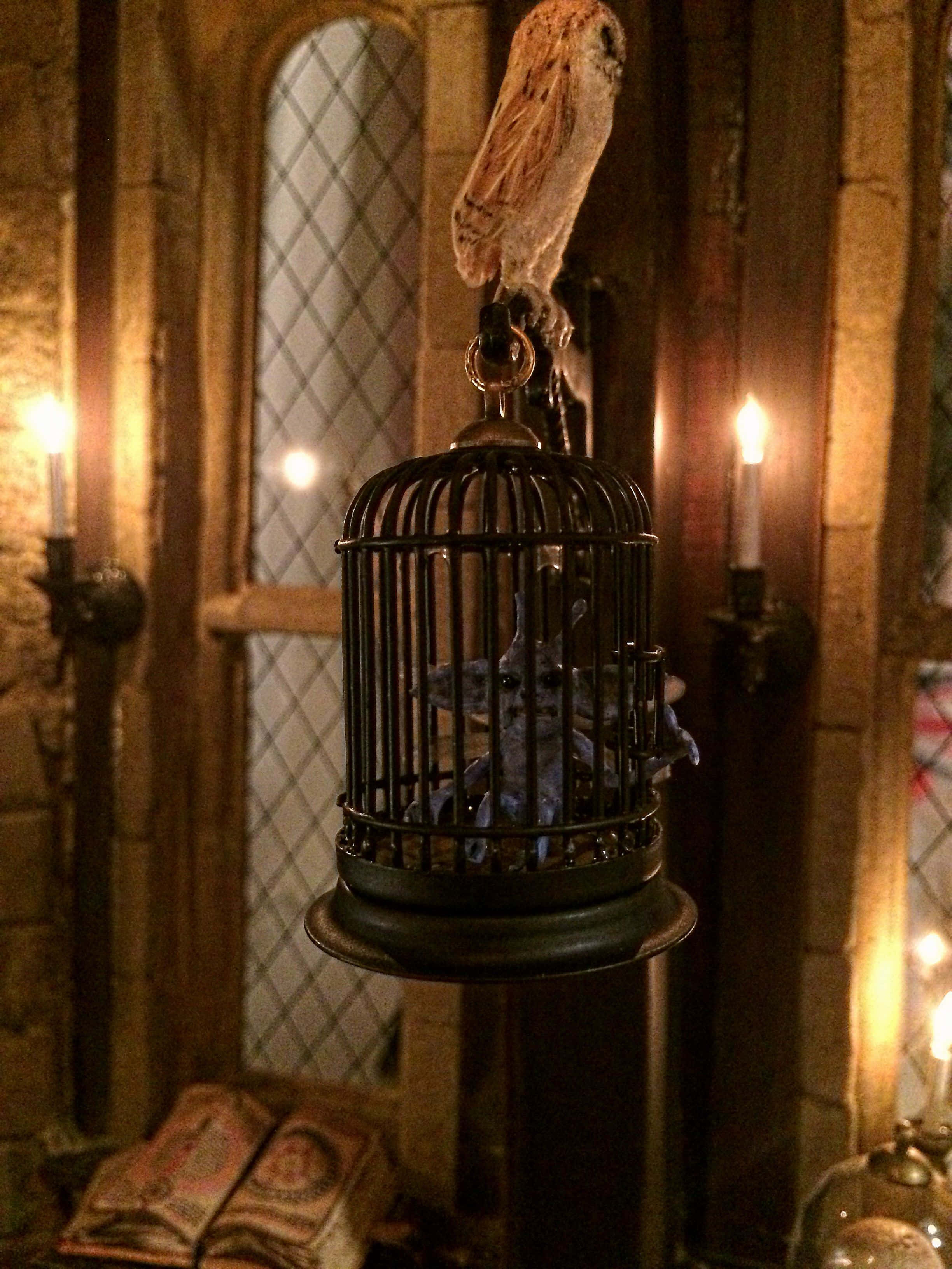 O tură prin misterioasa sală de Arte Întunecate de la Hogwarts Fundal
