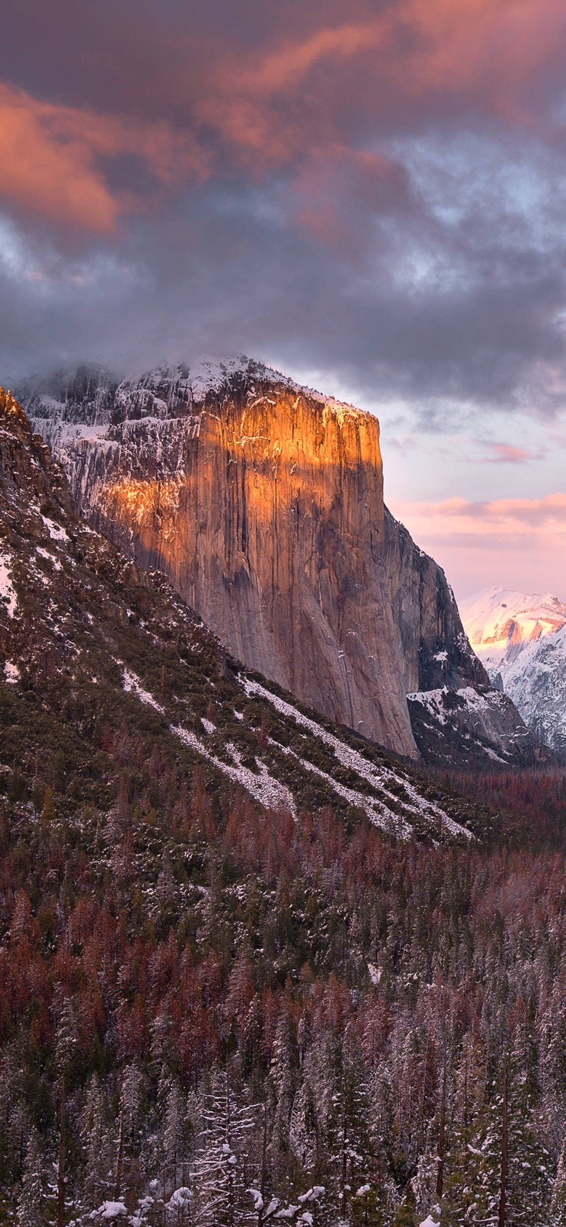 O vedere frumoasă a Parcului Național Yosemite, surprinsă prin lentila unui iPhone Fundal