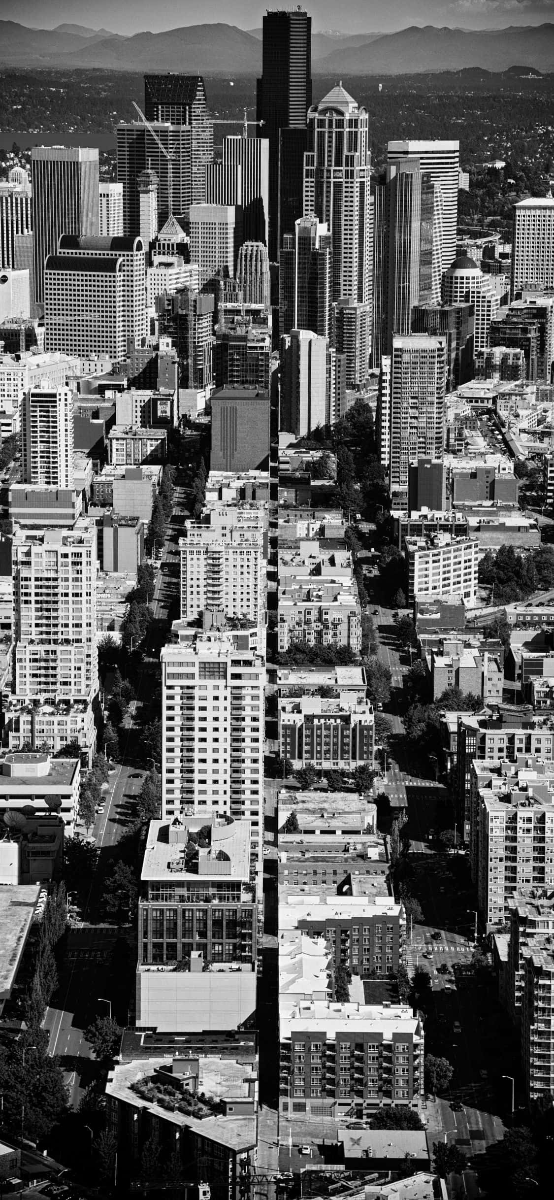 O vedere frumoasă a Seattleului de pe iPhone X Fundal