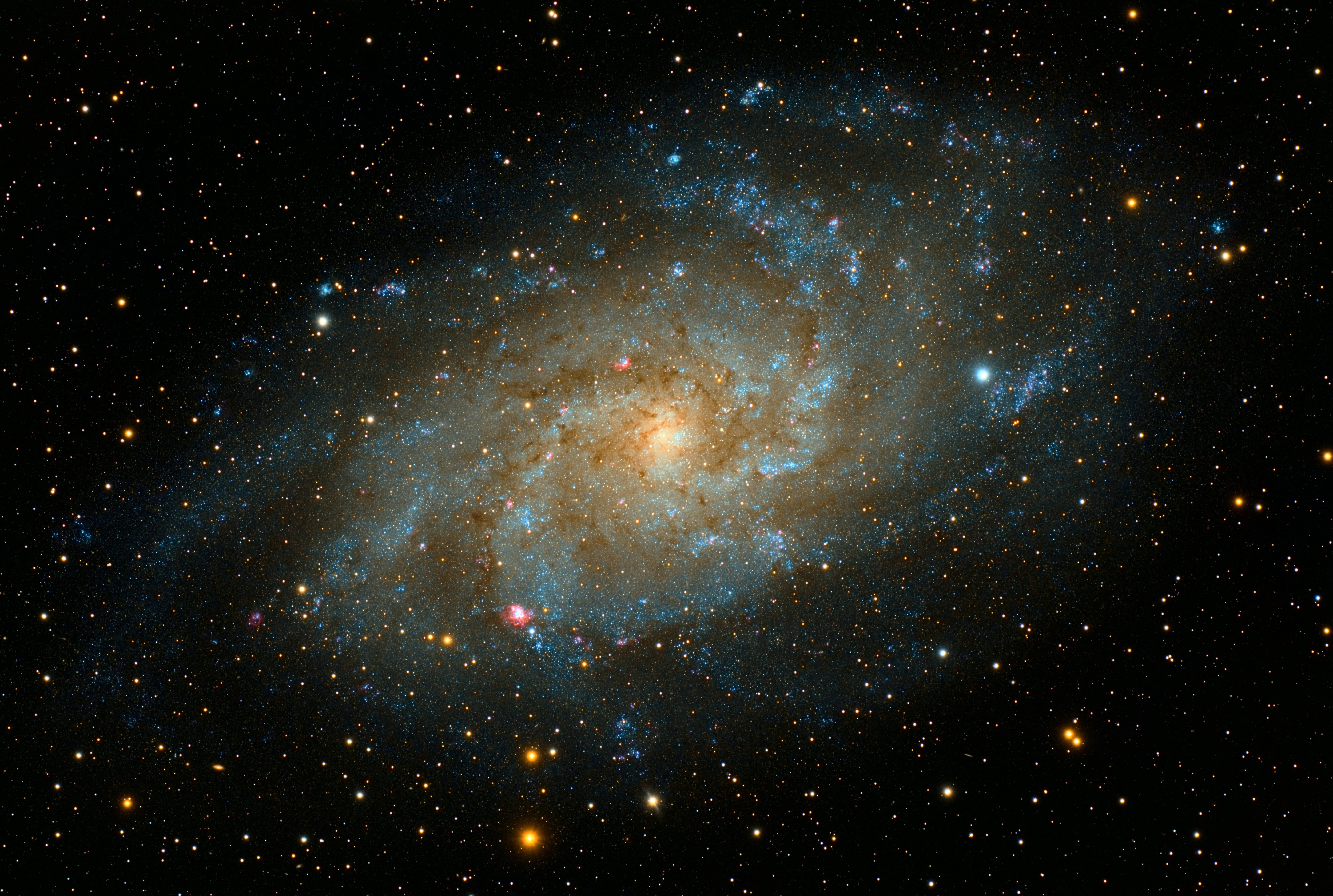 O vedere spectaculoasă a Galaxiei Andromeda Fundal