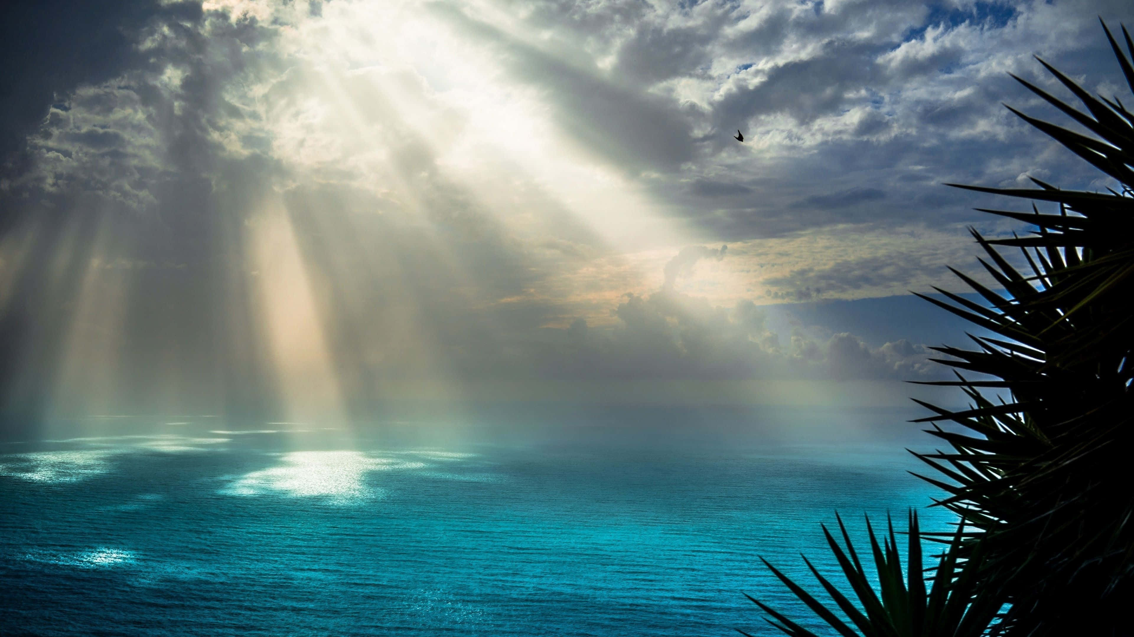 Ocean Albastru cu Raze de Soare Fundal