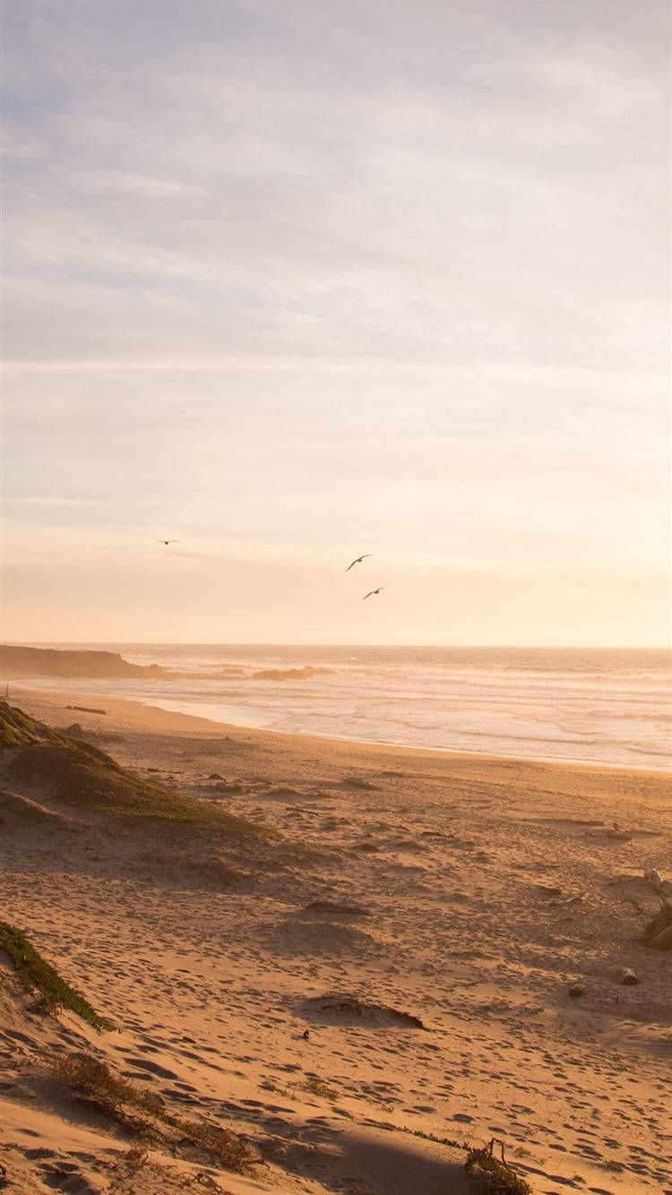 Ocean Beach neutru pentru iPhone Fundal