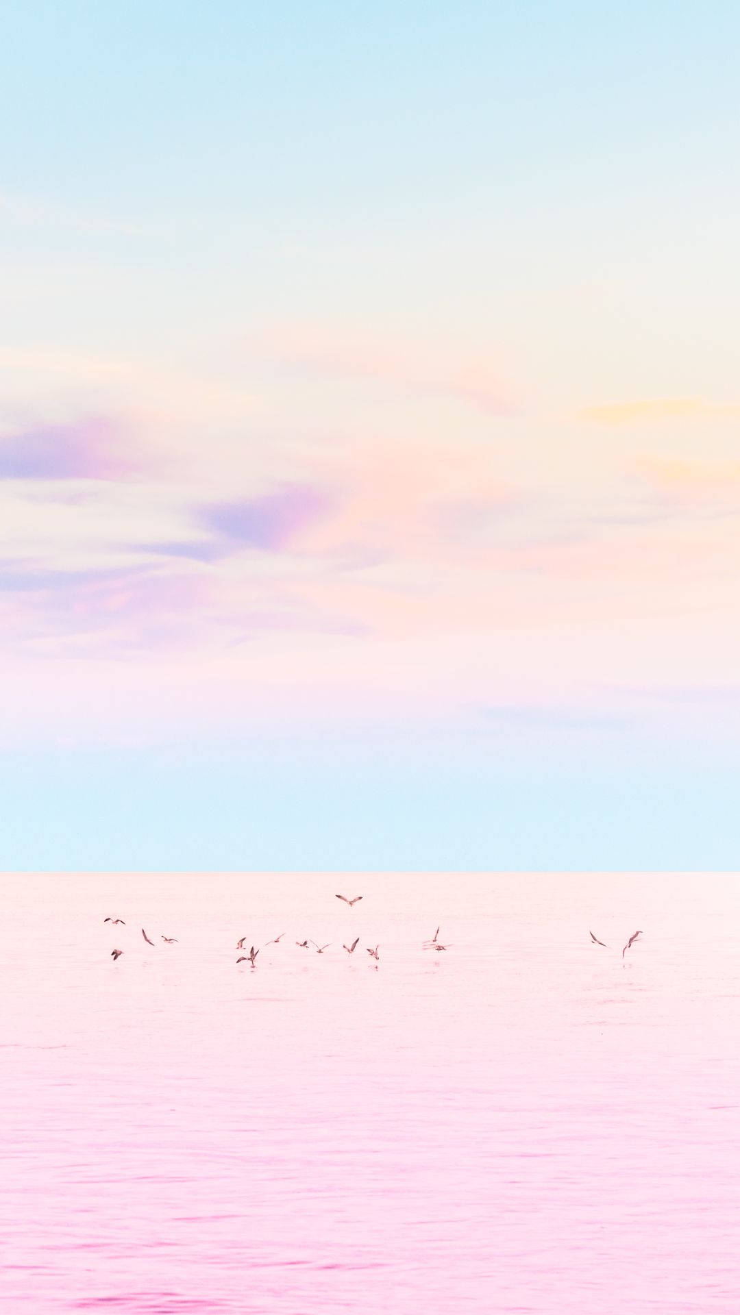 Ocean Roz Pastel pentru iPhone Fundal