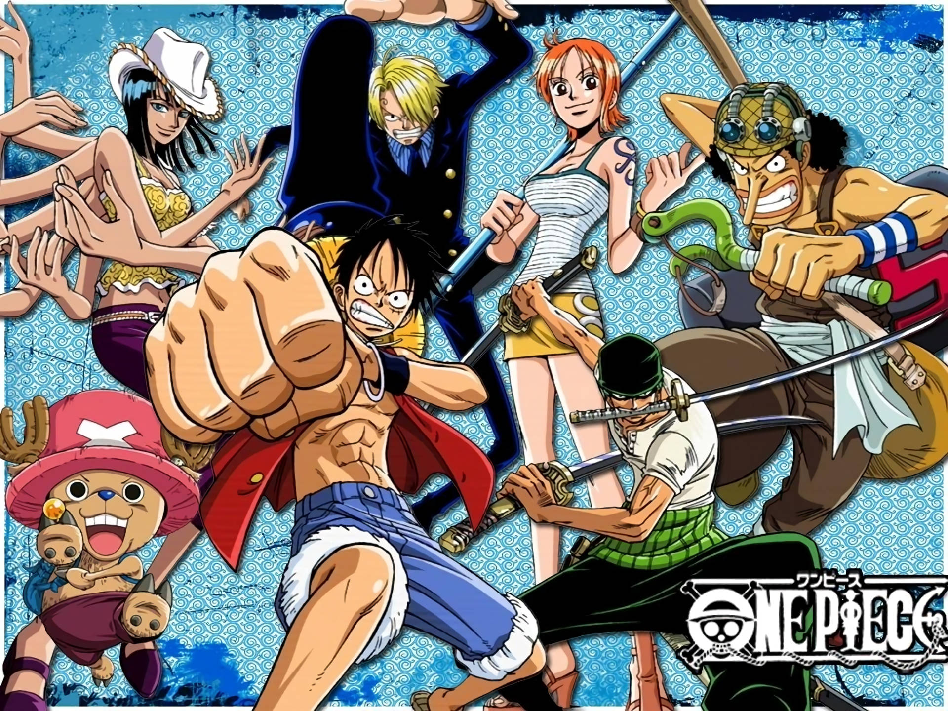 One Piece Fundal Fight Pose Fundal