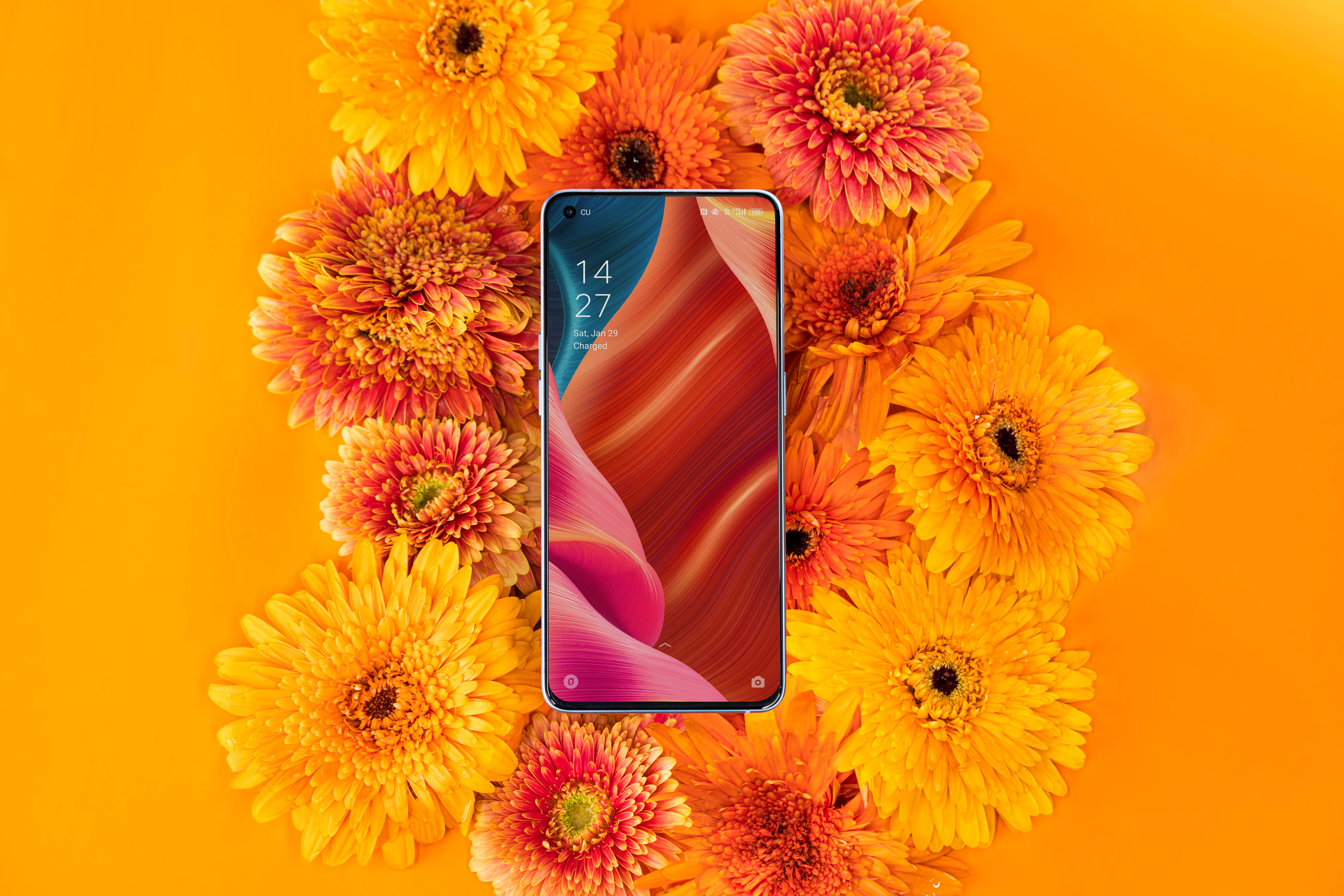 Oppo Smartphone și Floră Înfloritoare Fundal