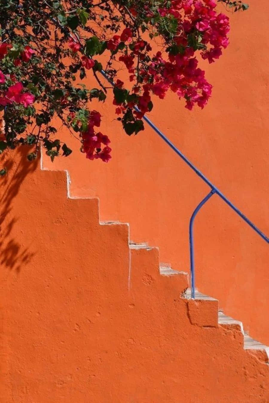 Orange Aesthetic - O Lume Colorată Vibrant Fundal