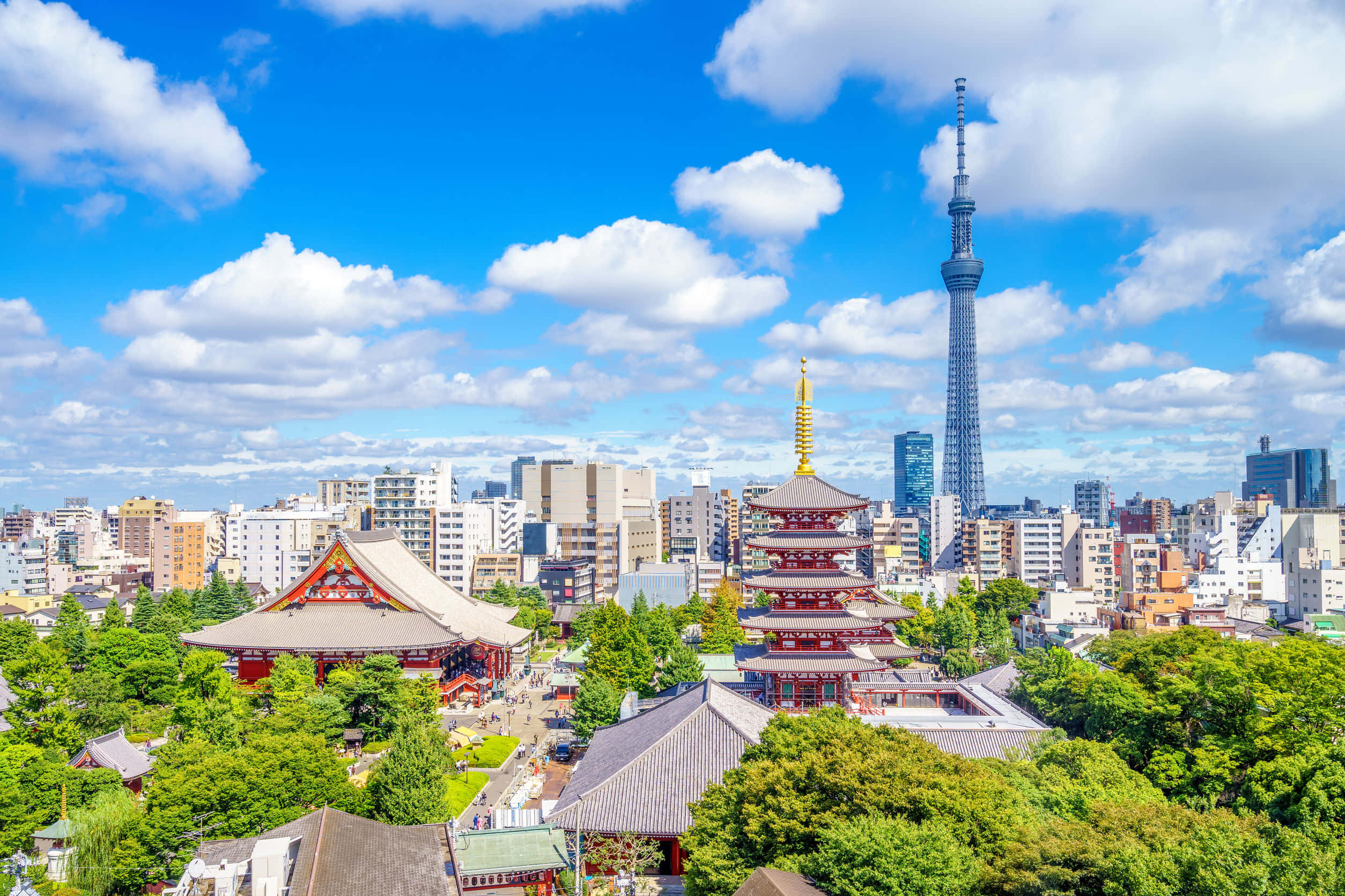 Orizontul Tokyo-ului, capitala plină de viață a Japoniei Fundal