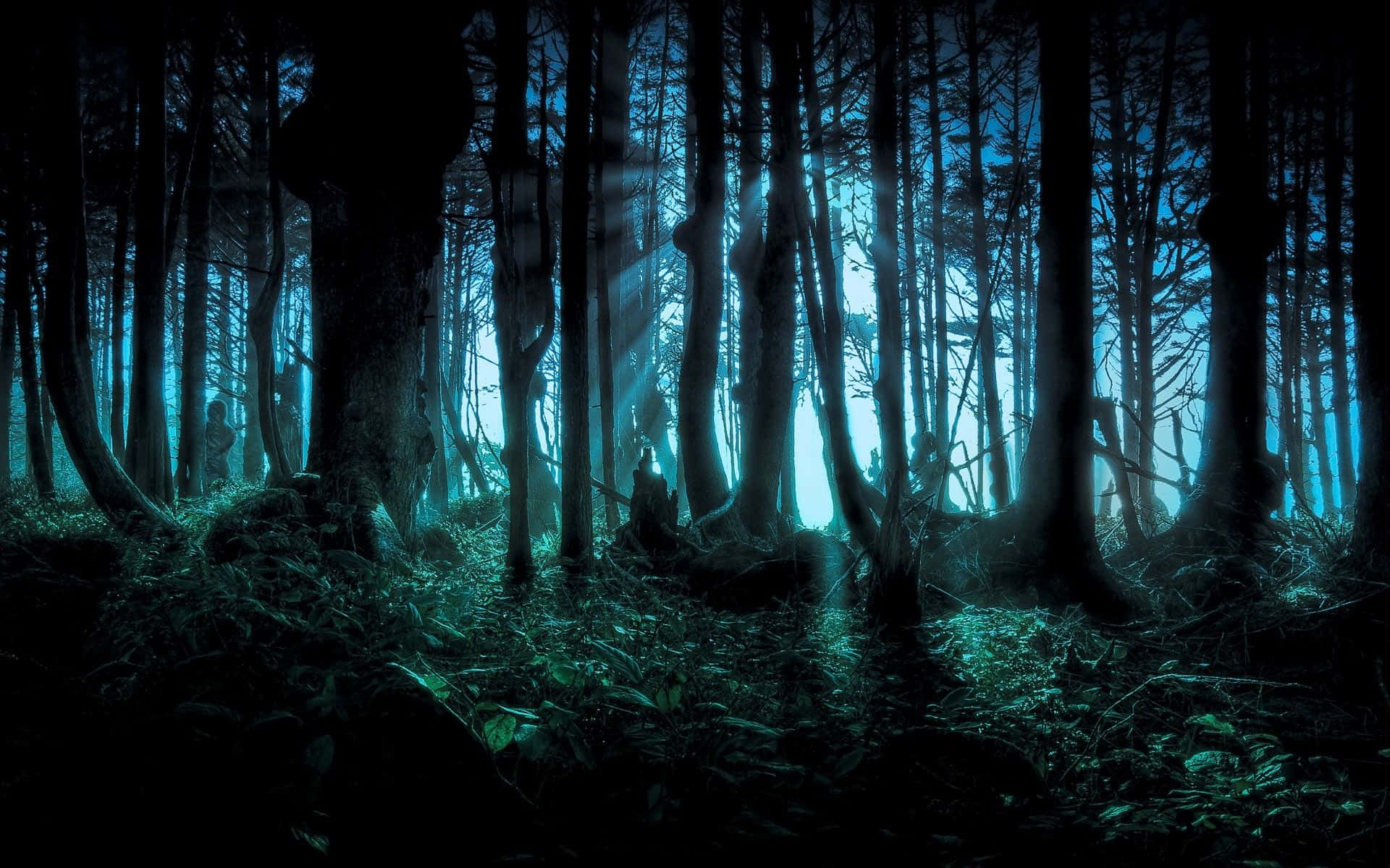 Pădure înfricoșătoare de Halloween pentru desktop Fundal