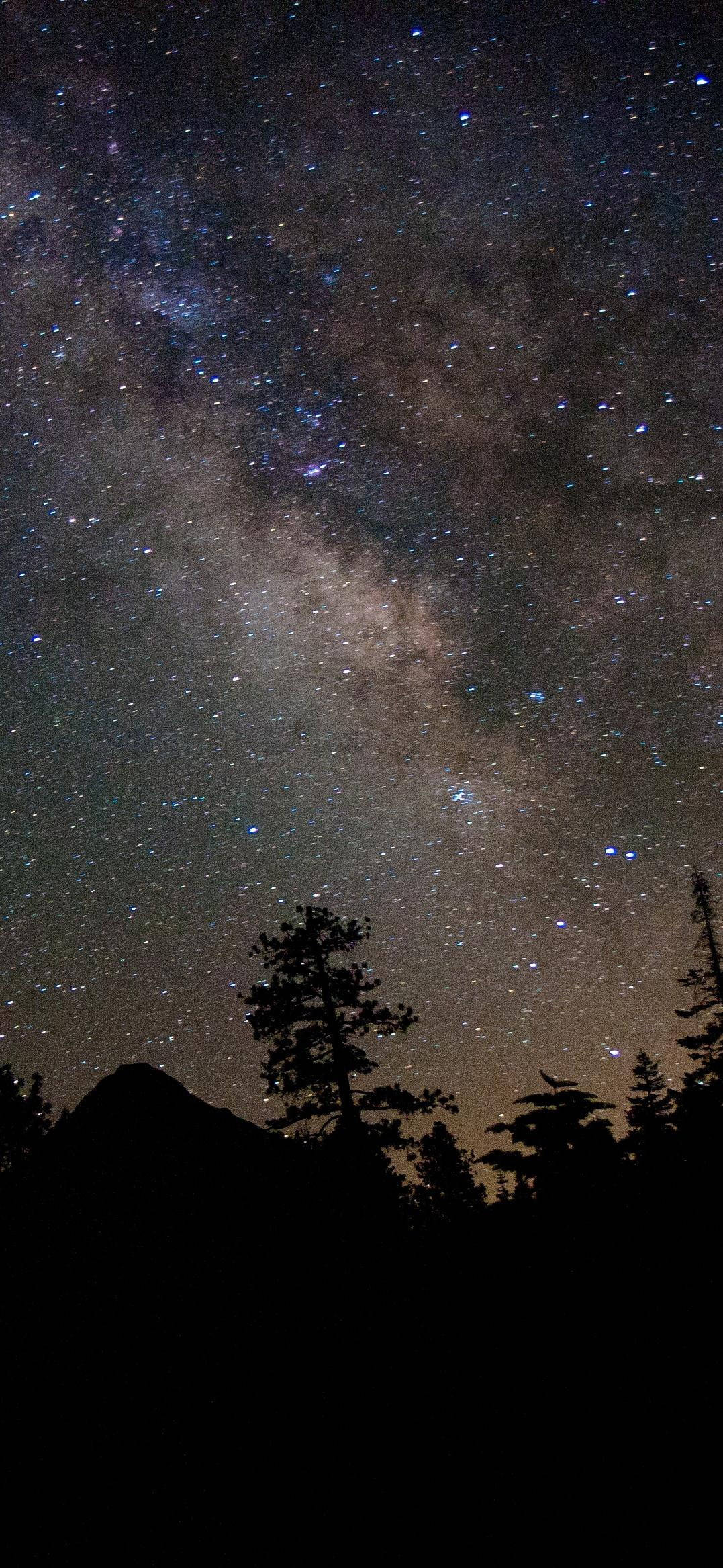 Pădure Muntată Galaxie Frumoasă Fundal