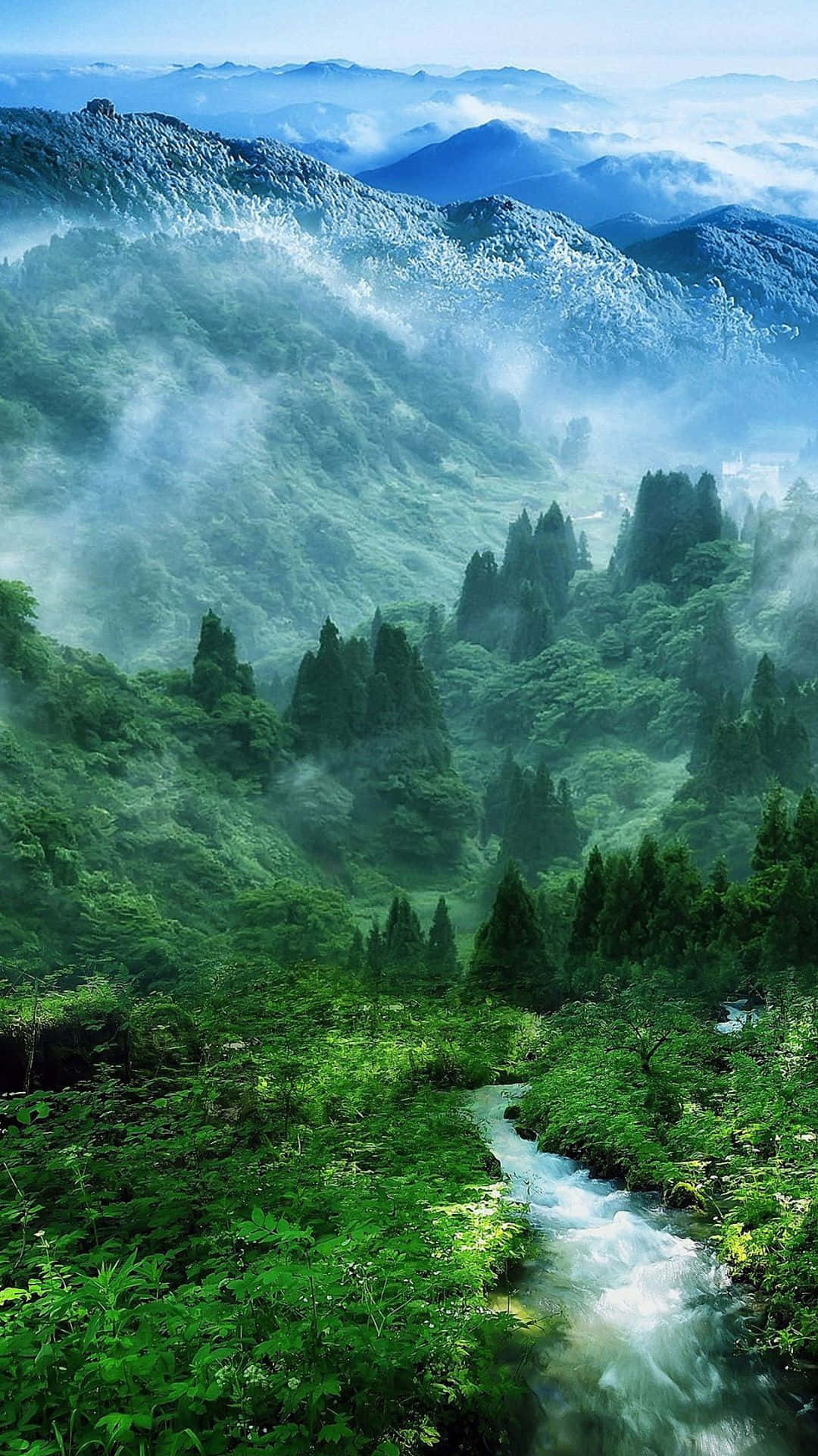 Pădure Verde Magnifică pentru Android Natură Fundal