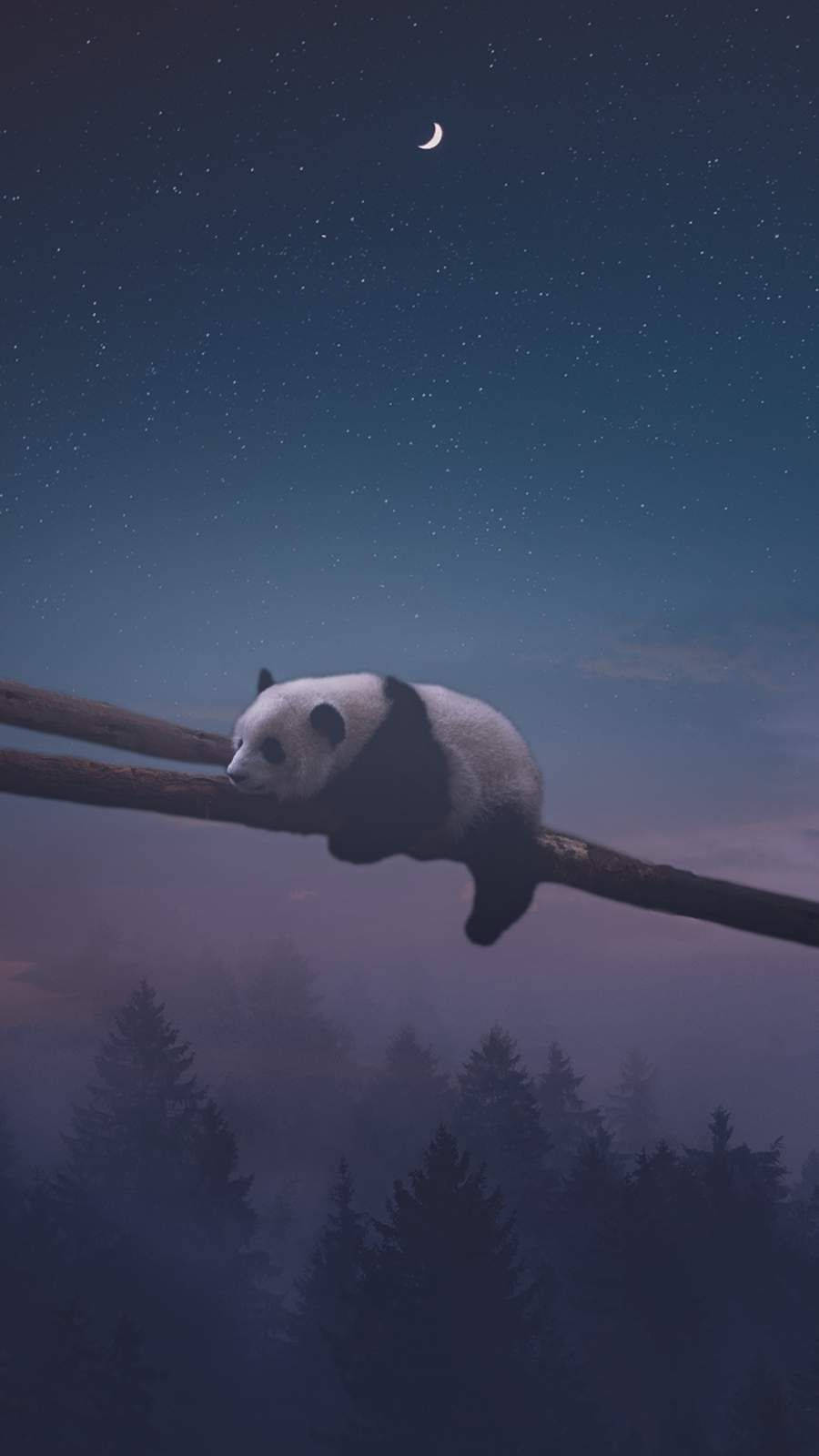 Panda care doarme noaptea Fundal