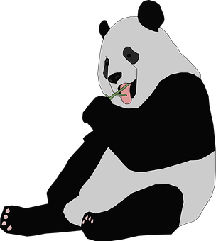 Panda care mâncă bambus Fundal