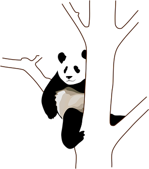 Panda care se uită după copac Fundal