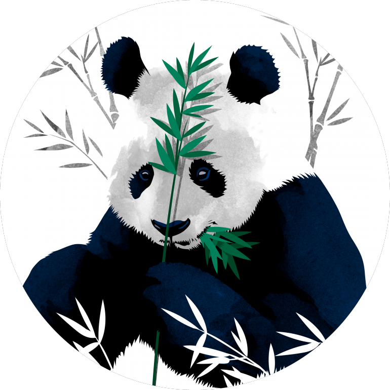 Panda mănâncă bambus - artă vectorială Fundal