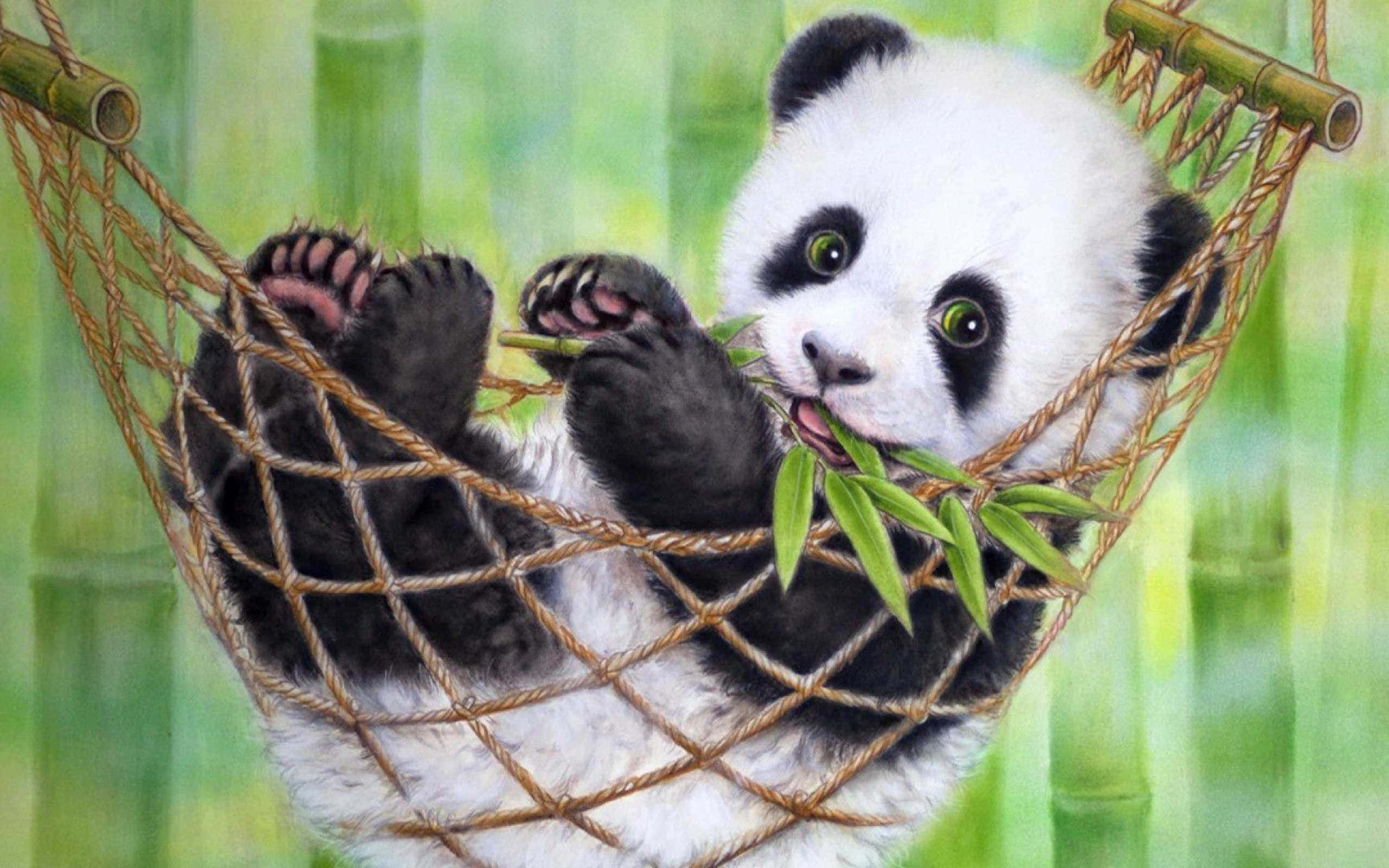 Panda pe un hamac cu laptop Fundal