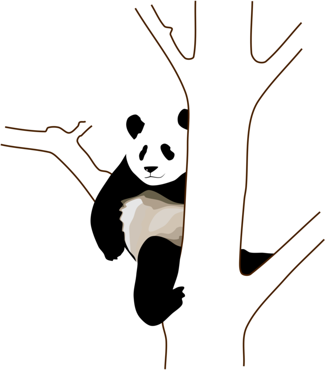 Panda Relaxat Agățat de Copac Fundal
