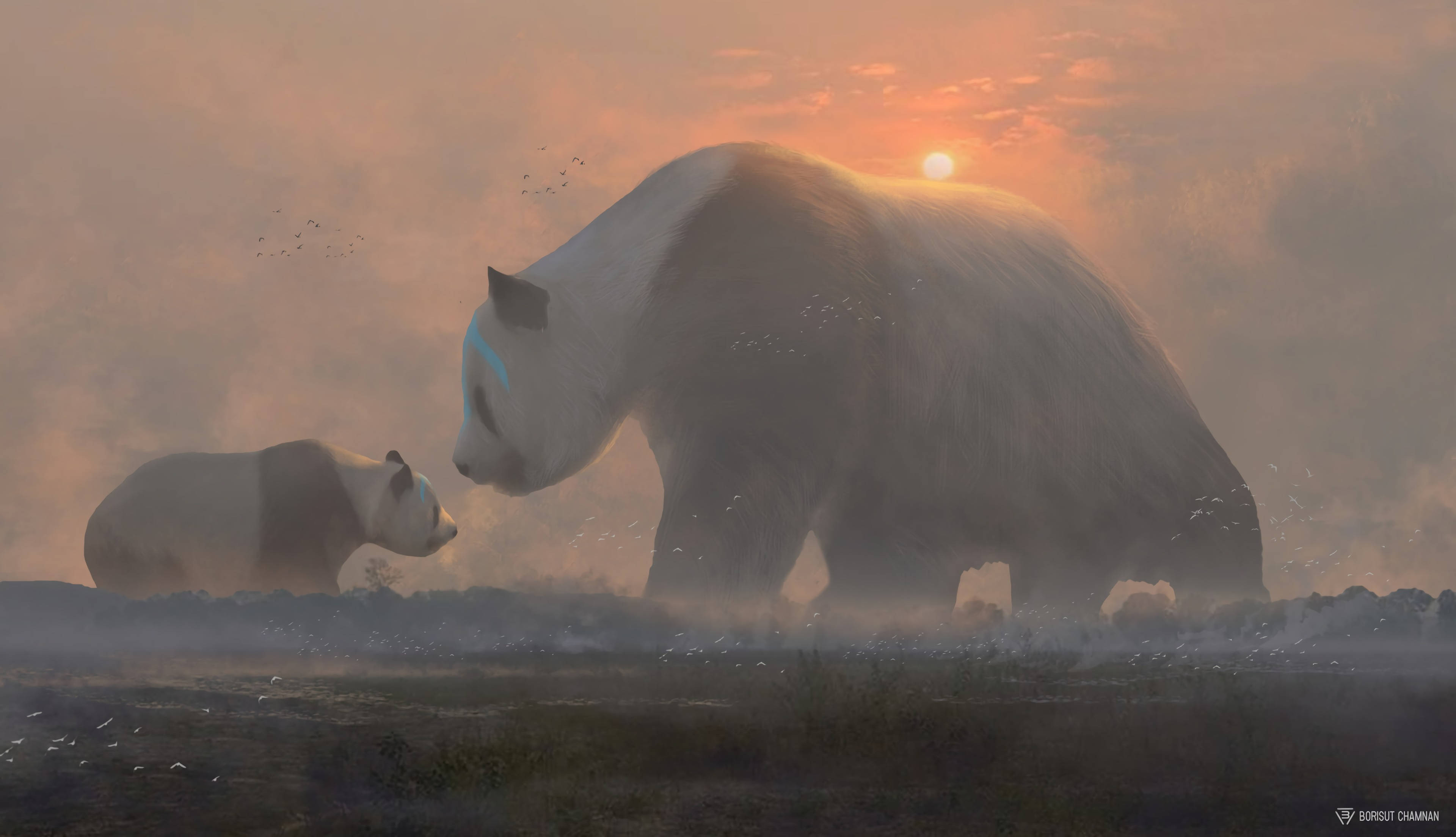Panda și pui la apus Fundal