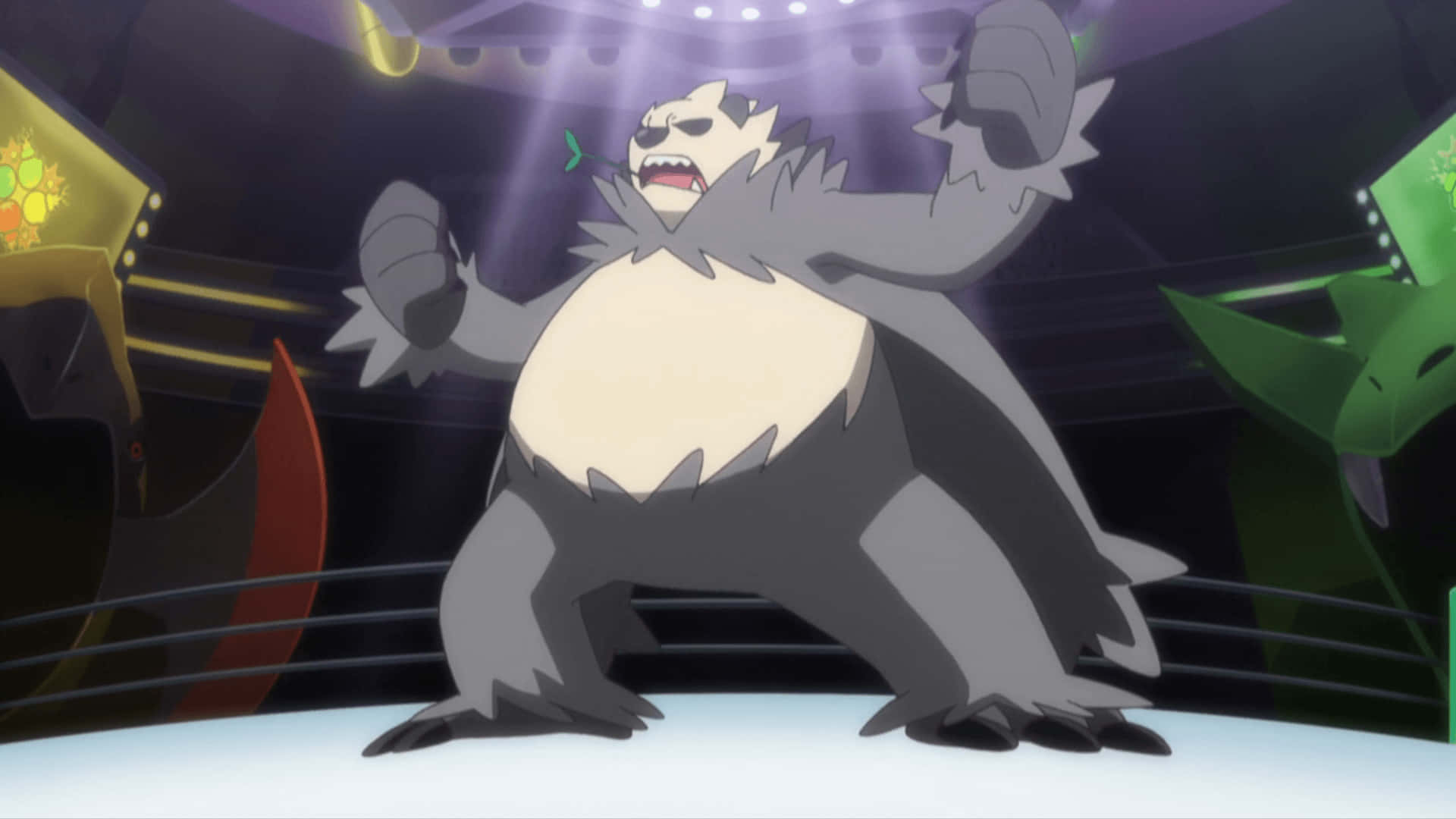 Pangoro pe un ring de luptă Fundal