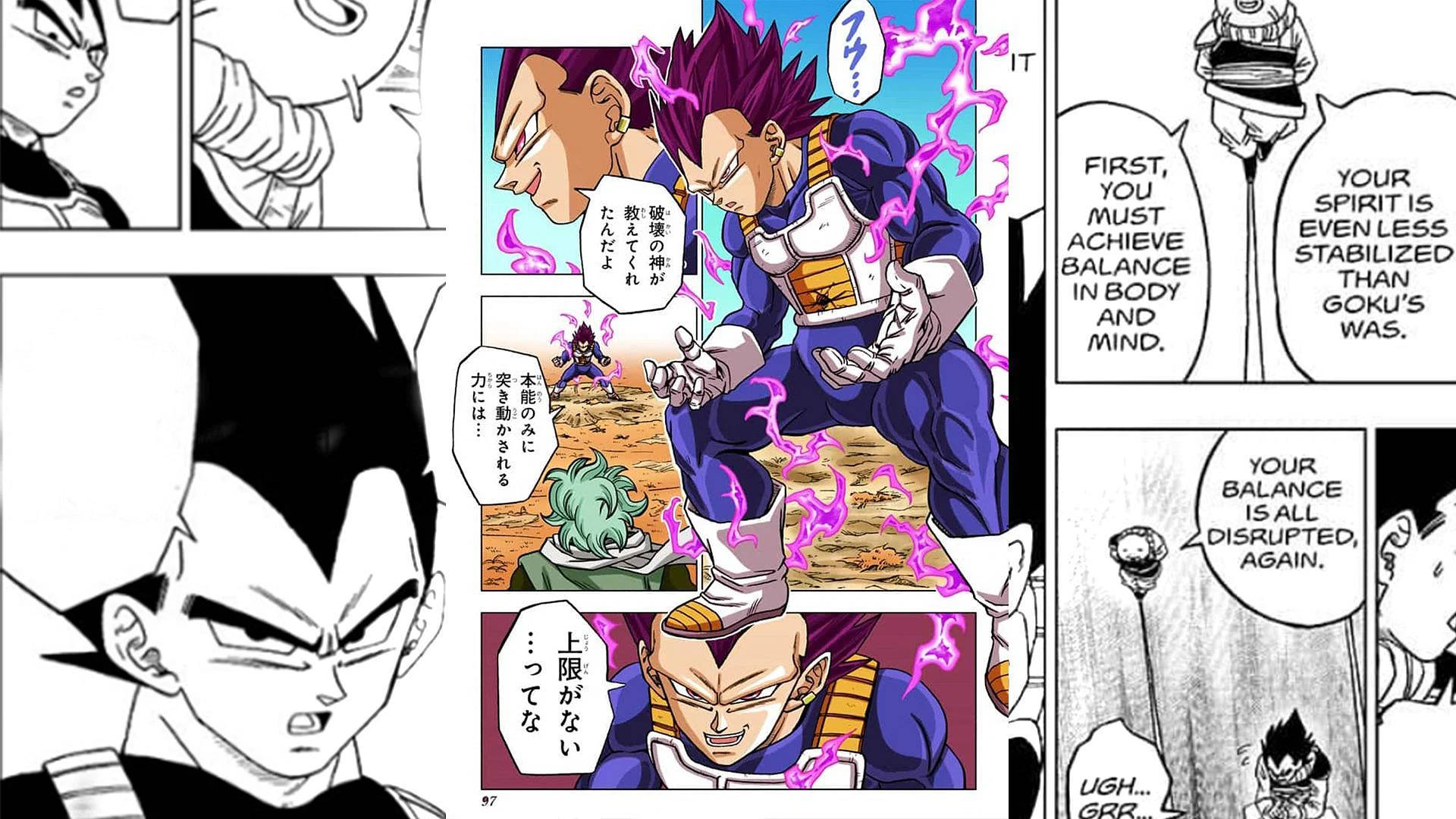 Panou Manga Vegeta Fundal