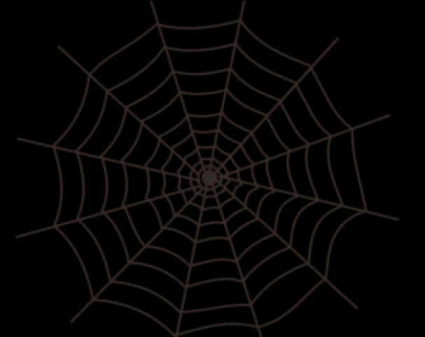 Pânză de păianjen intricată pe fundal întunecat Fundal