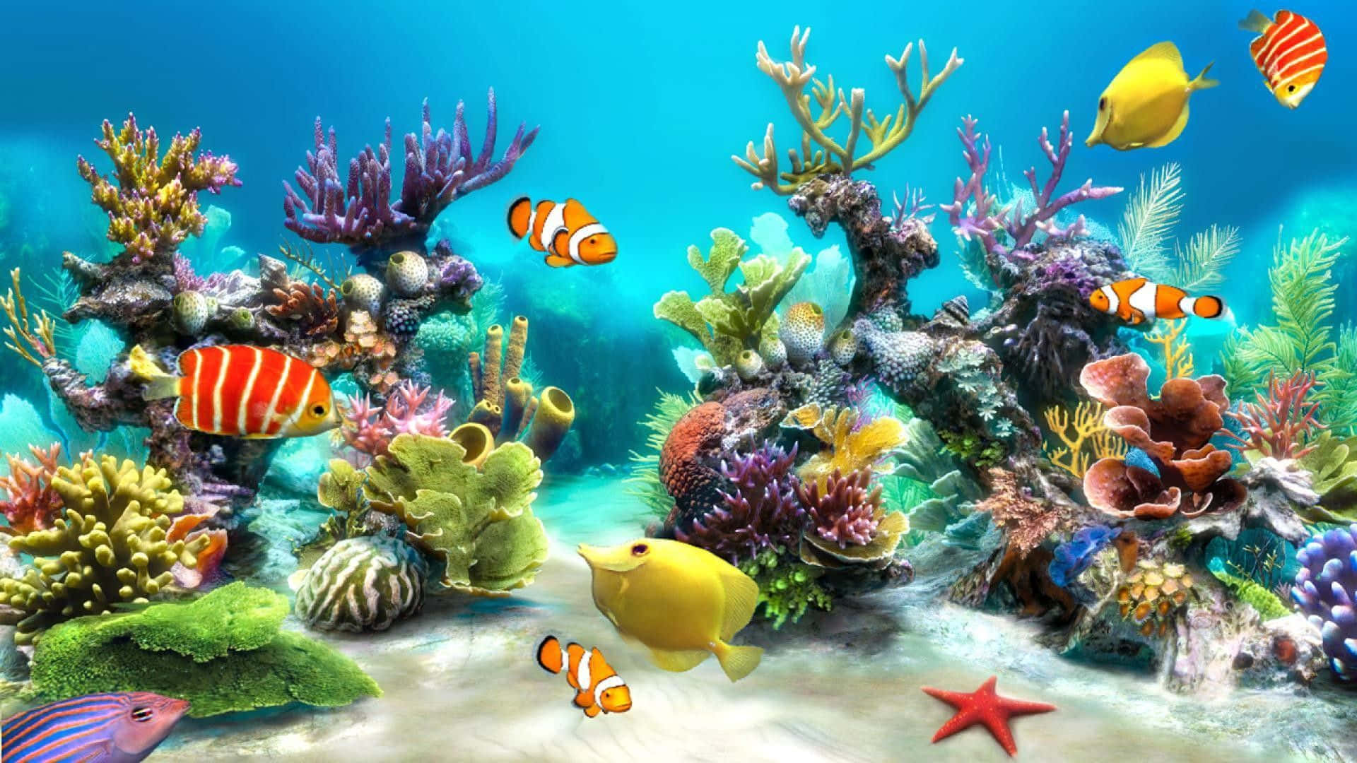 Paradis subacvatic: fundal vibrant pentru acvariu cu pești tropicali Fundal