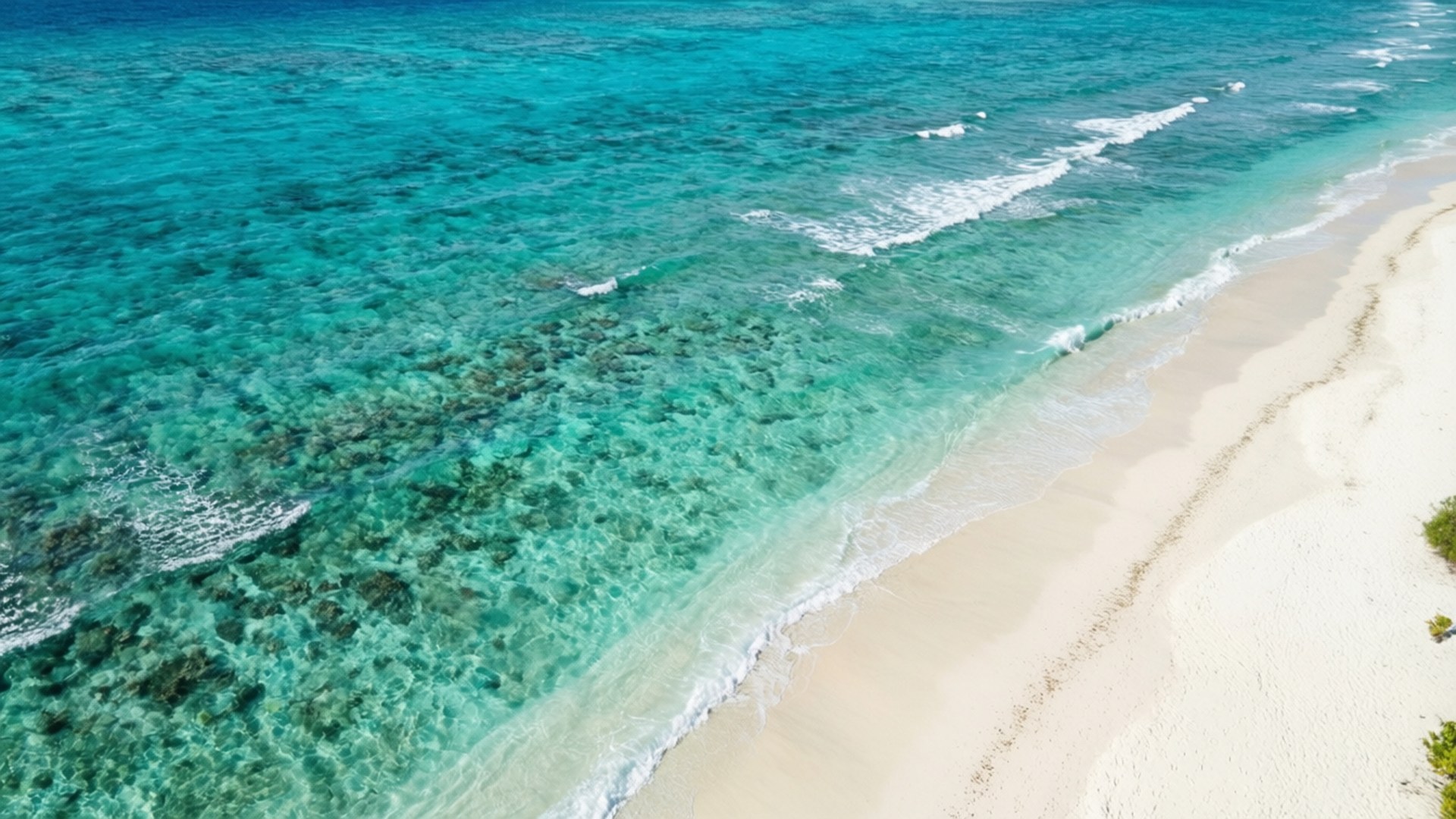 Paradisul Turquoise Fundal
