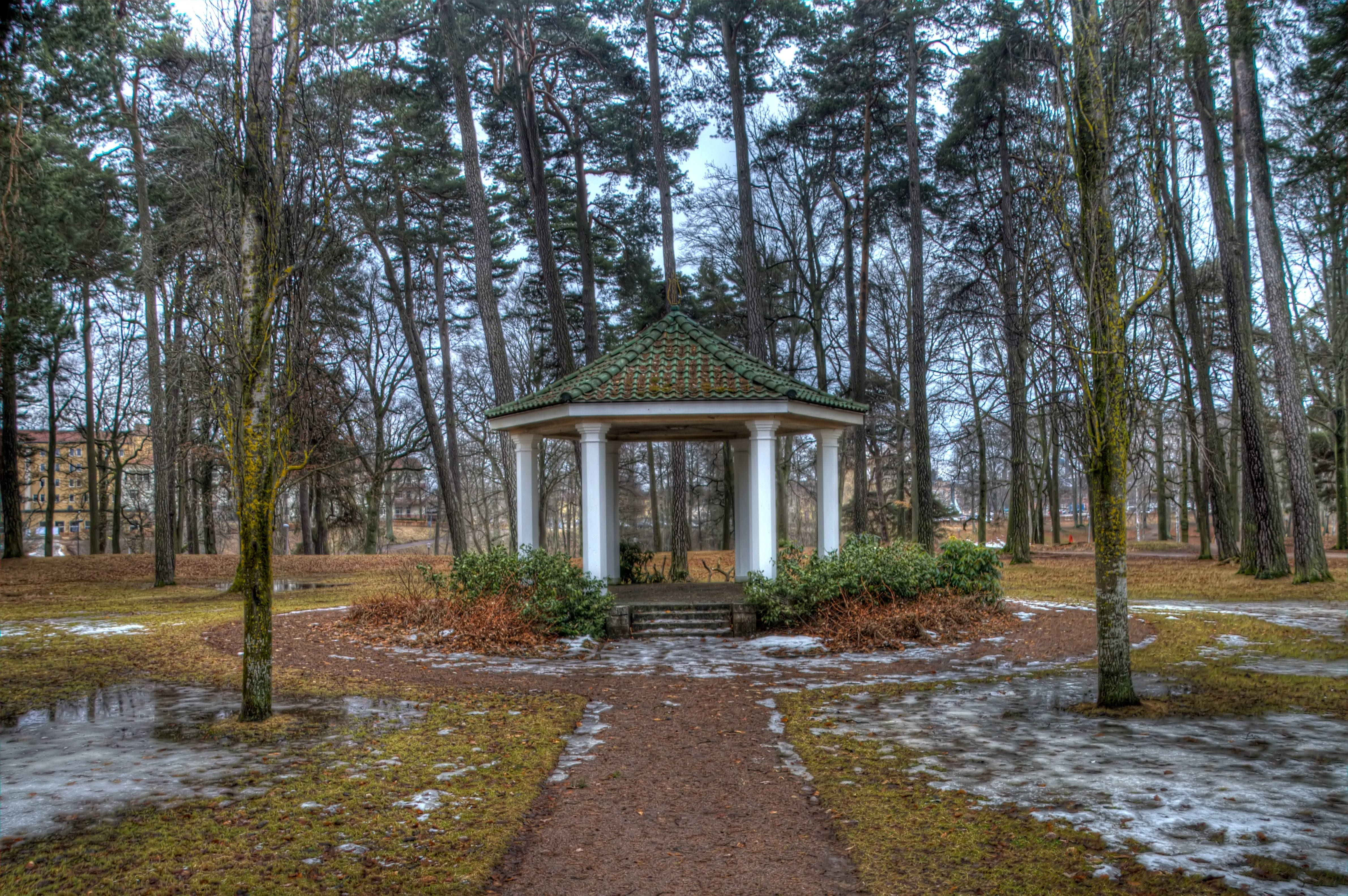 Parcul în sezonul primăverii Fundal