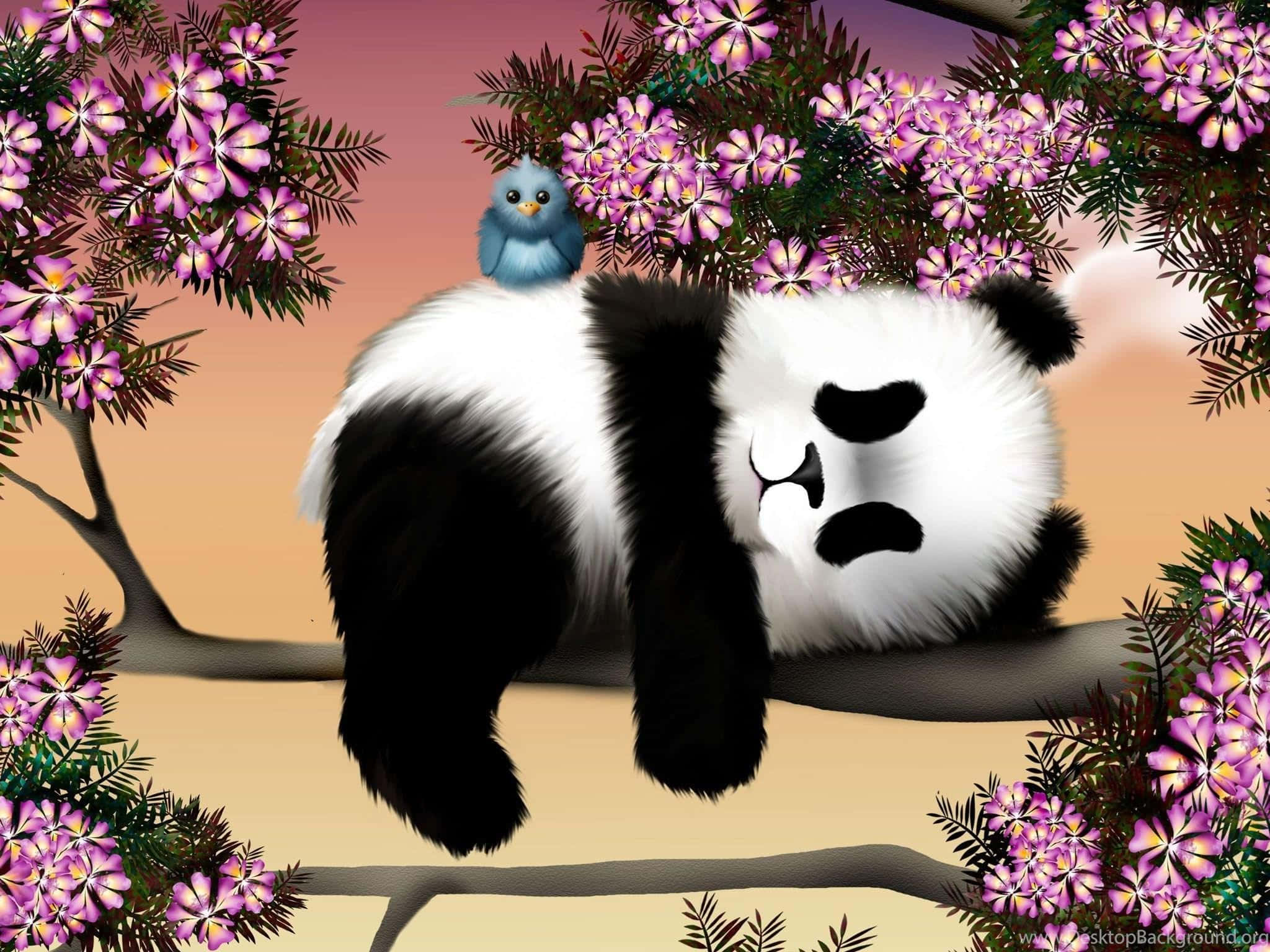 Pasăre pe un laptop Panda Fundal