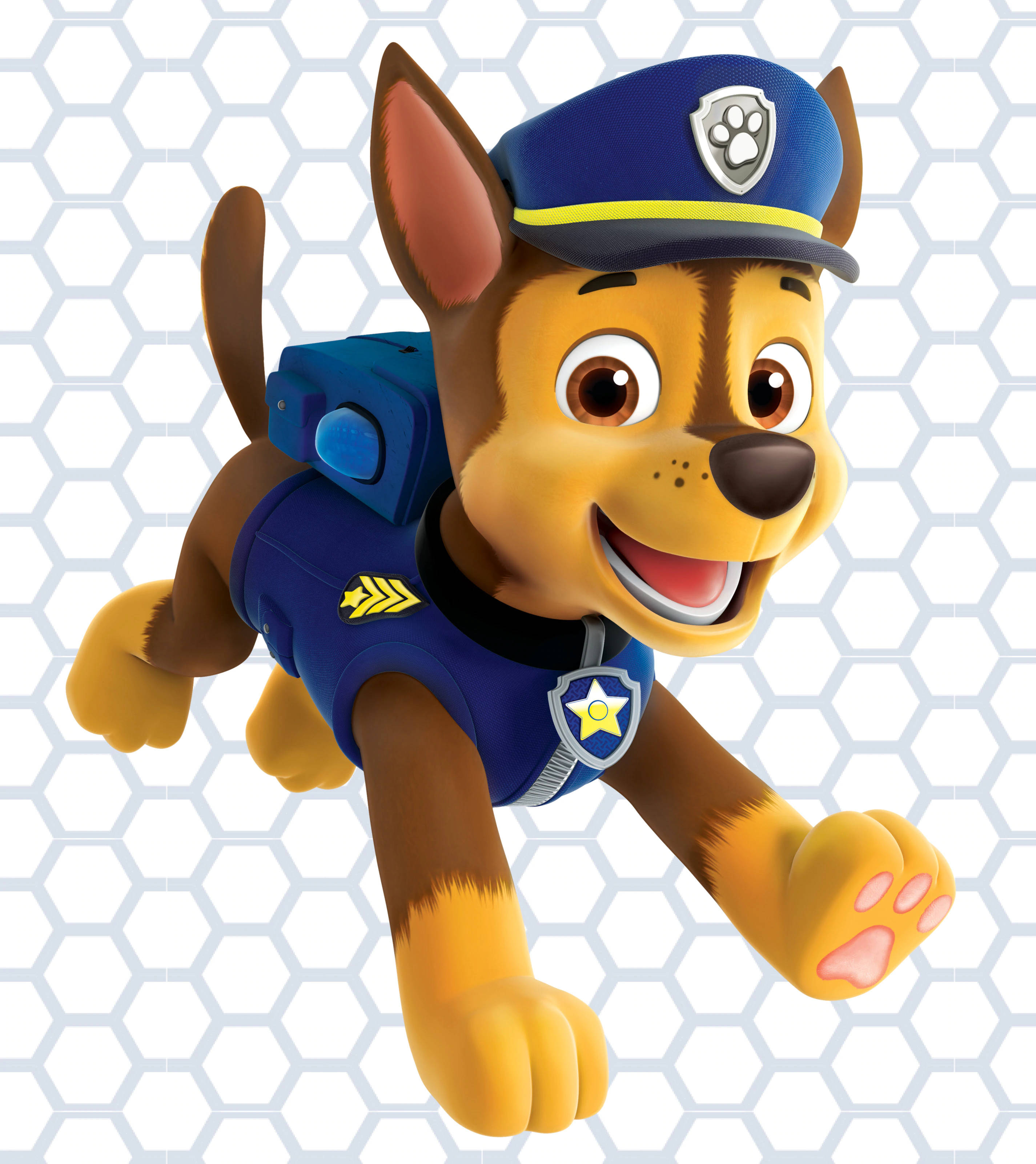 Paw Patrol Chase Fundal