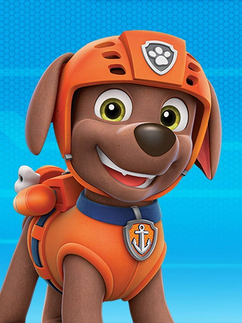 Paw Patrol Filmul Zuma Fundal