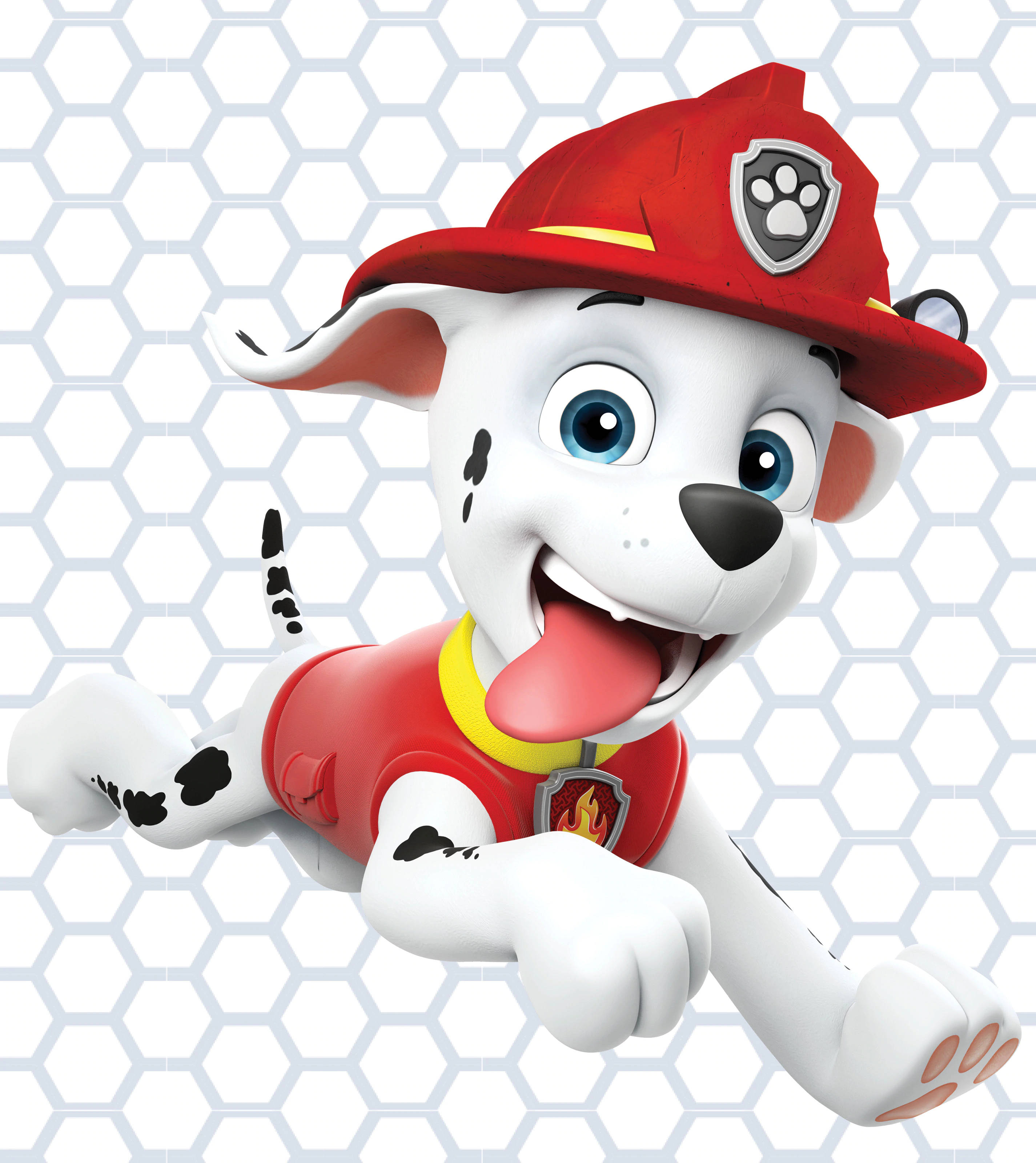 Paw Patrol Marshall Fundal