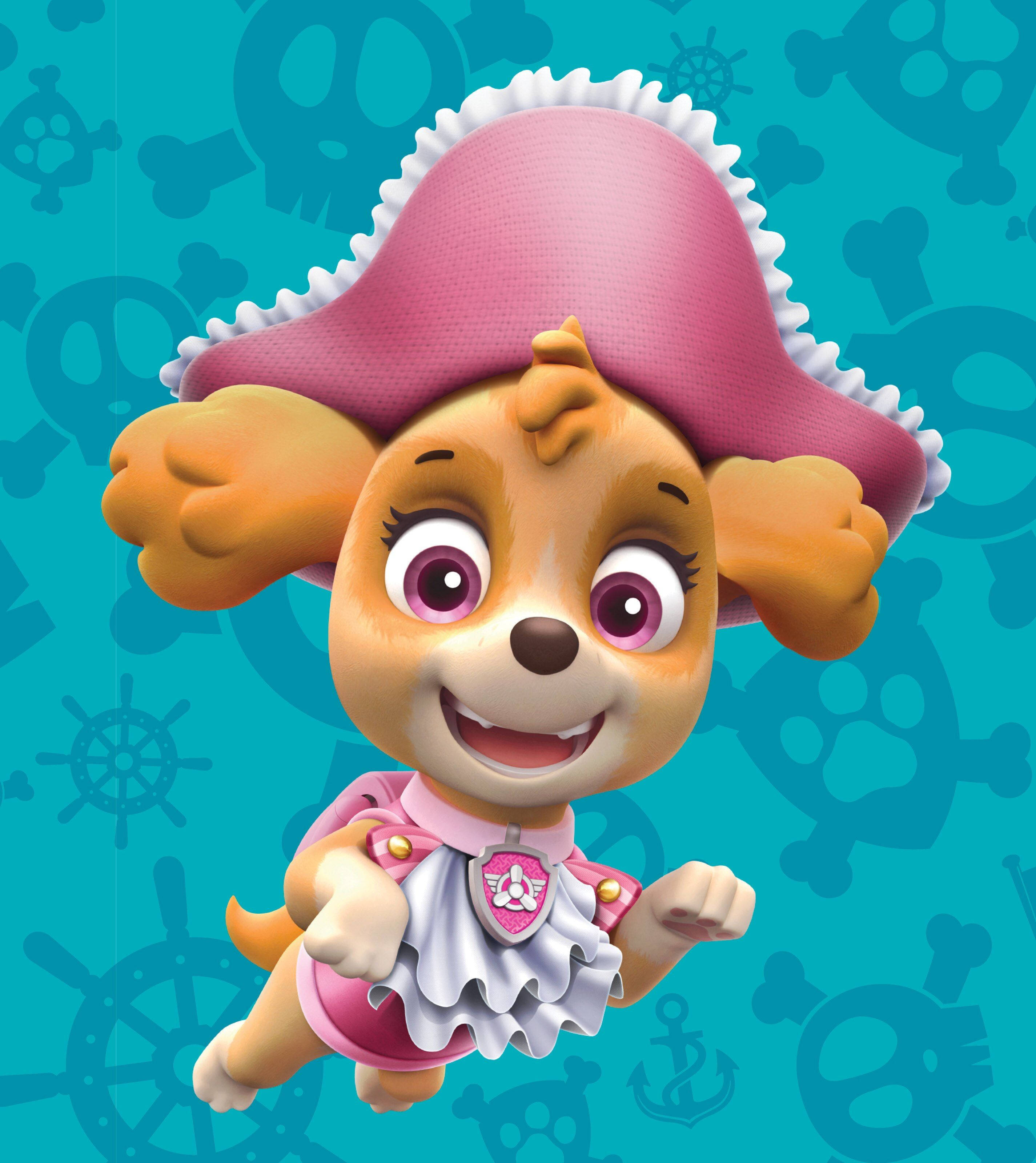 Paw Patrol Pirat Skye Fundal
