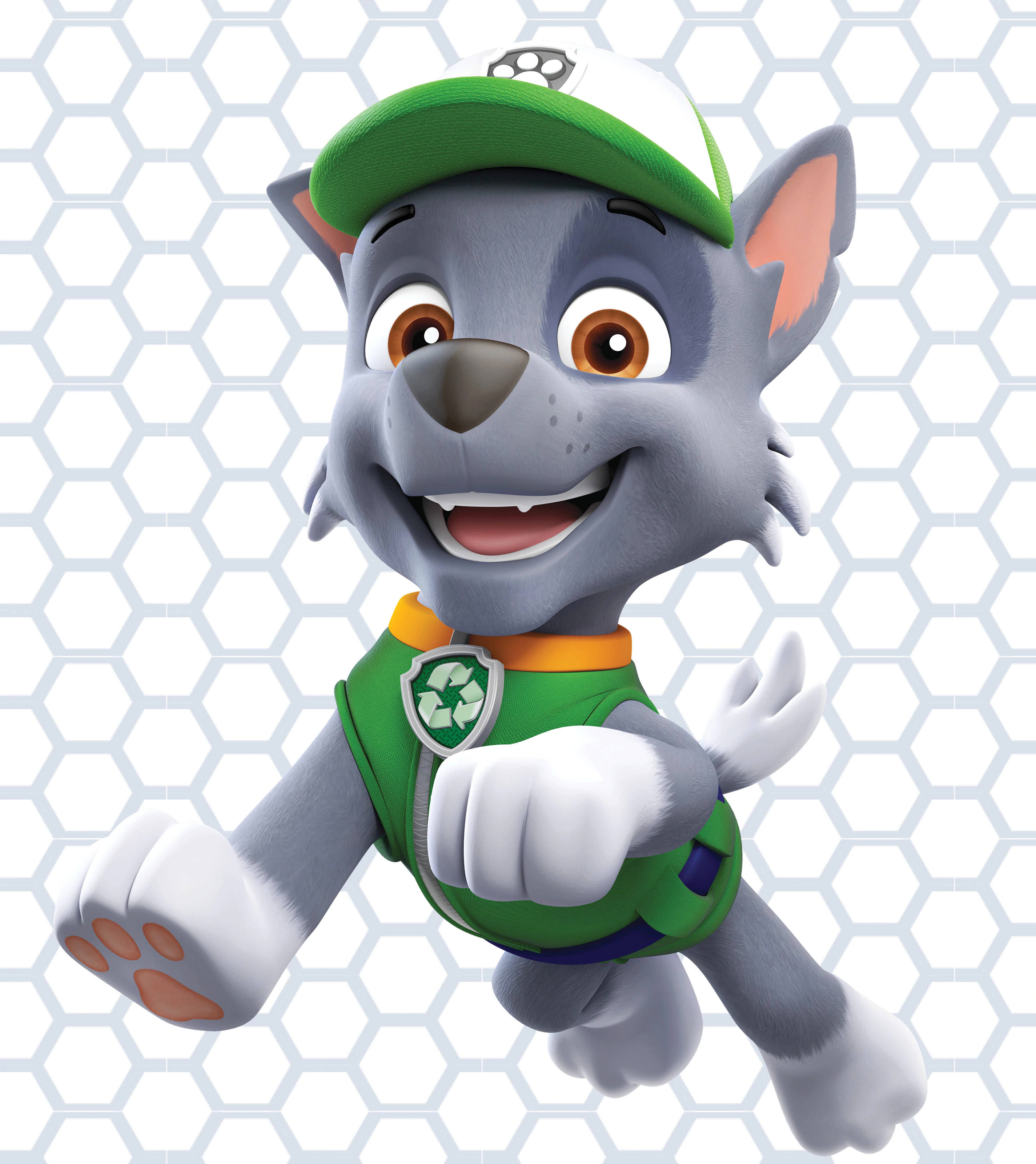 Paw Patrol Rocky Fundal