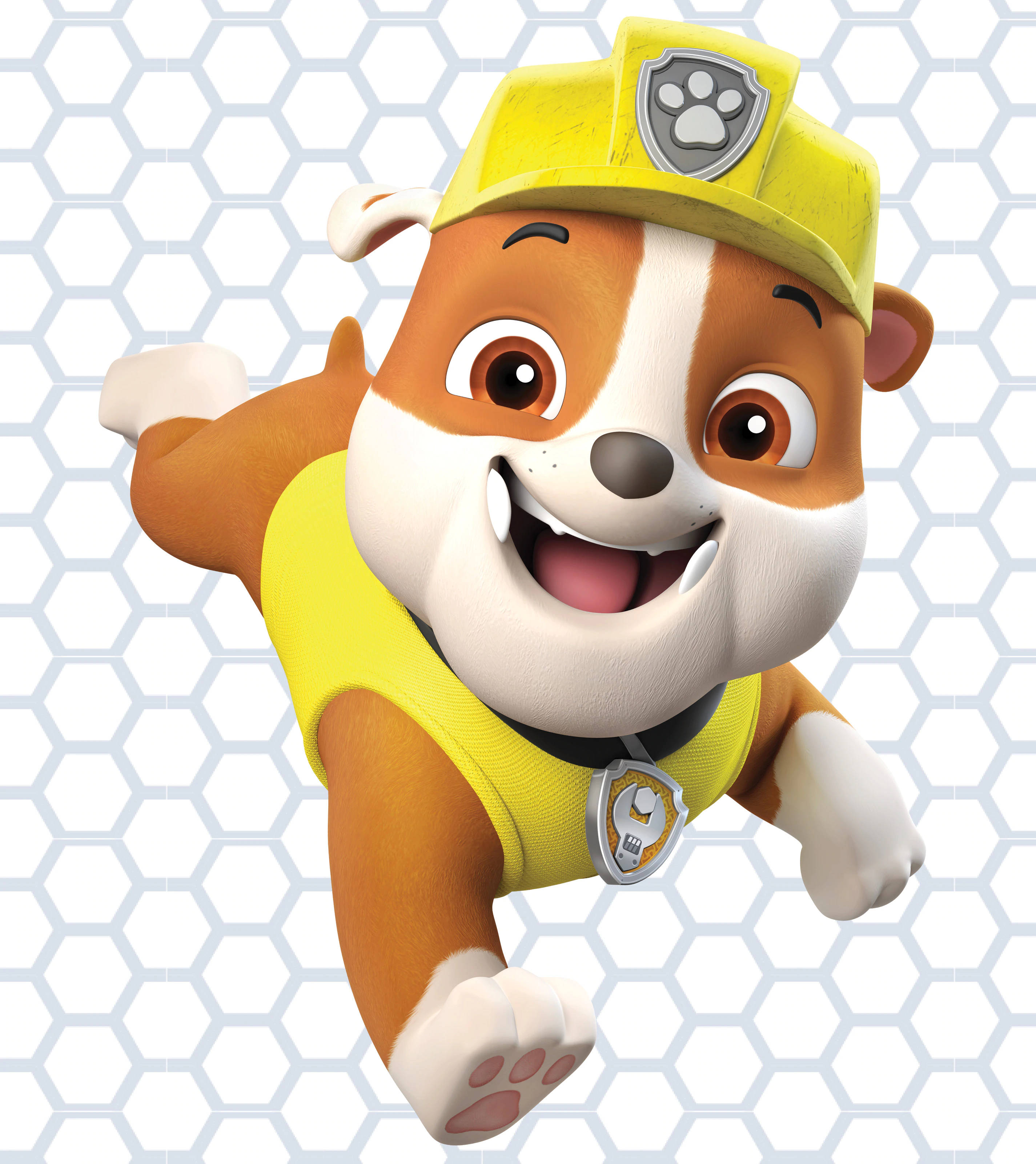 Paw Patrol Rubble Fundal