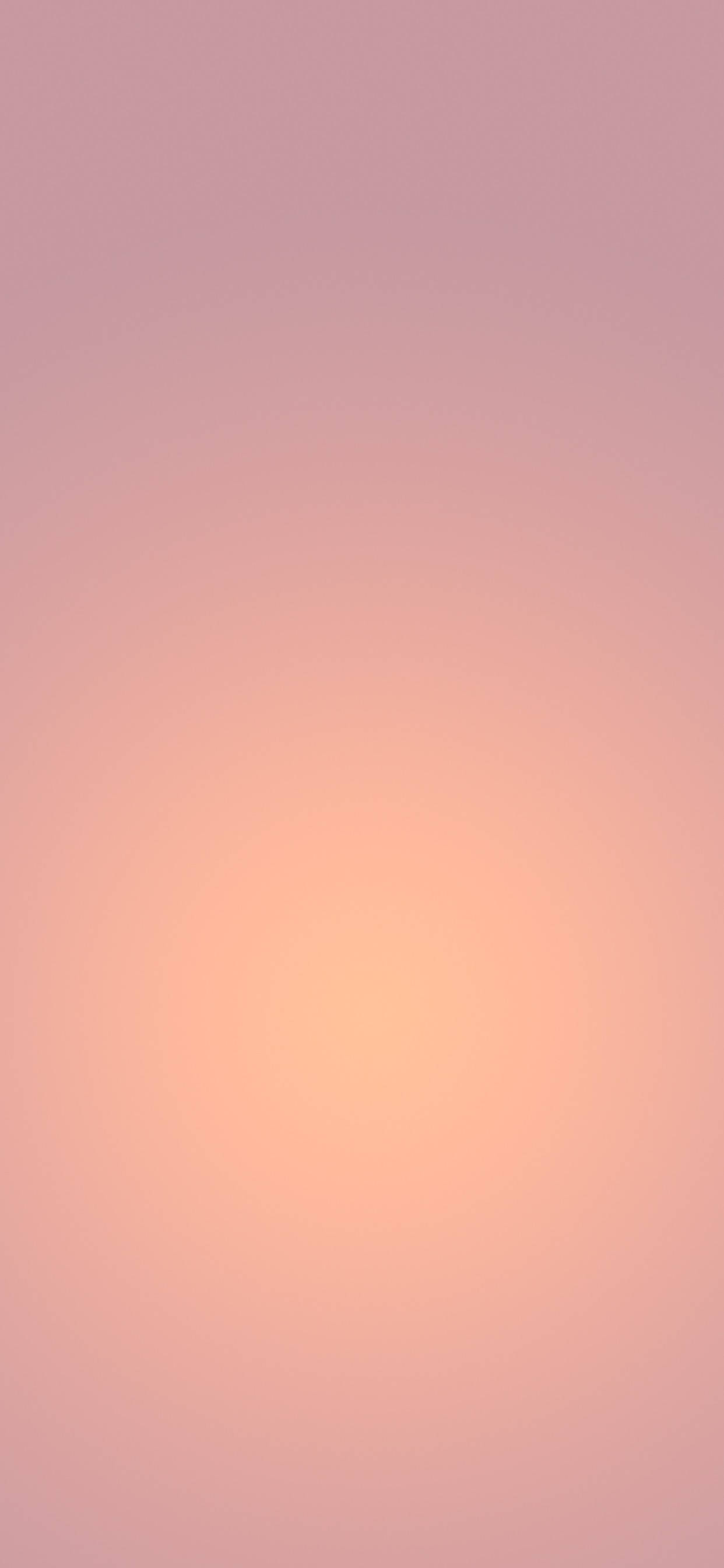 Peach Colour Simple iPhone Fundal