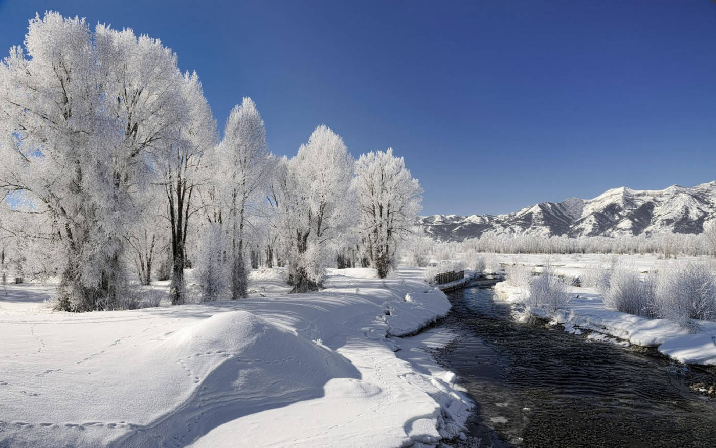 Peisaj de iarnă cu natură înghețată Fundal
