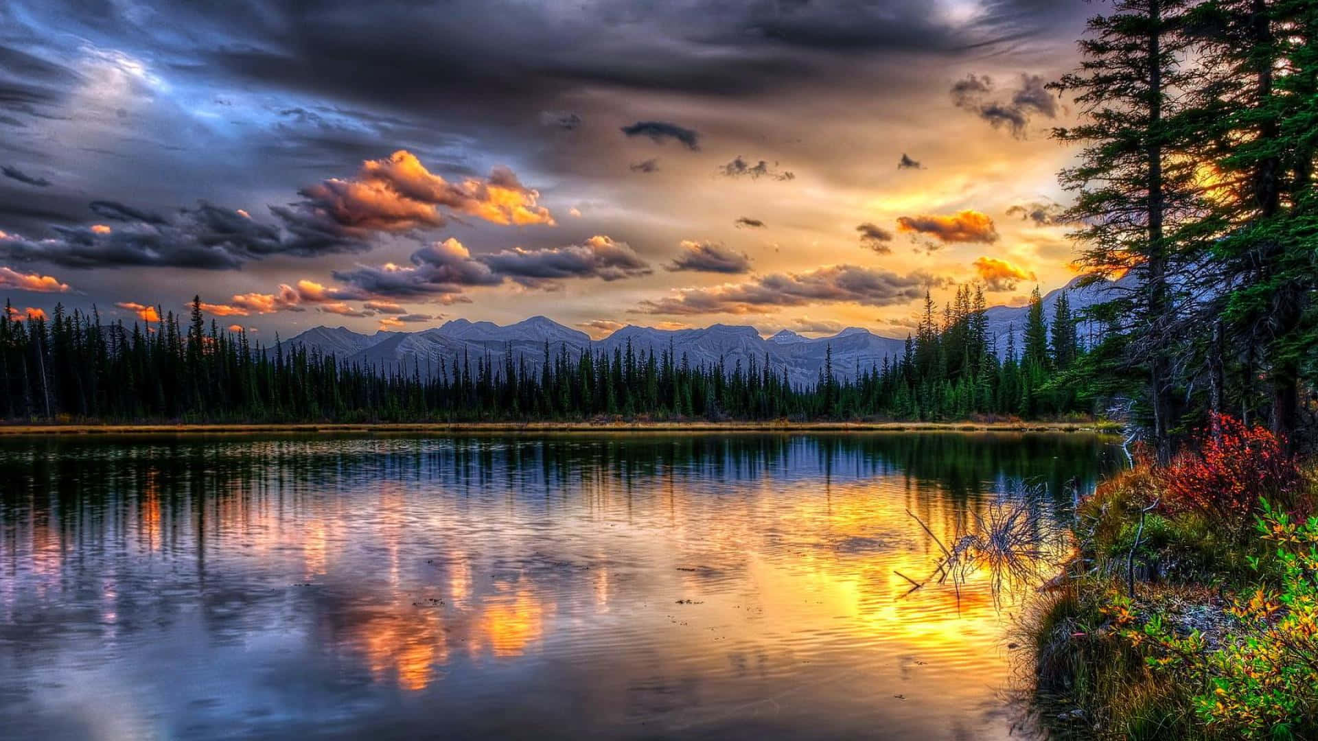 Peisaj Frumos Desktop Canada Lac Pădure Fundal