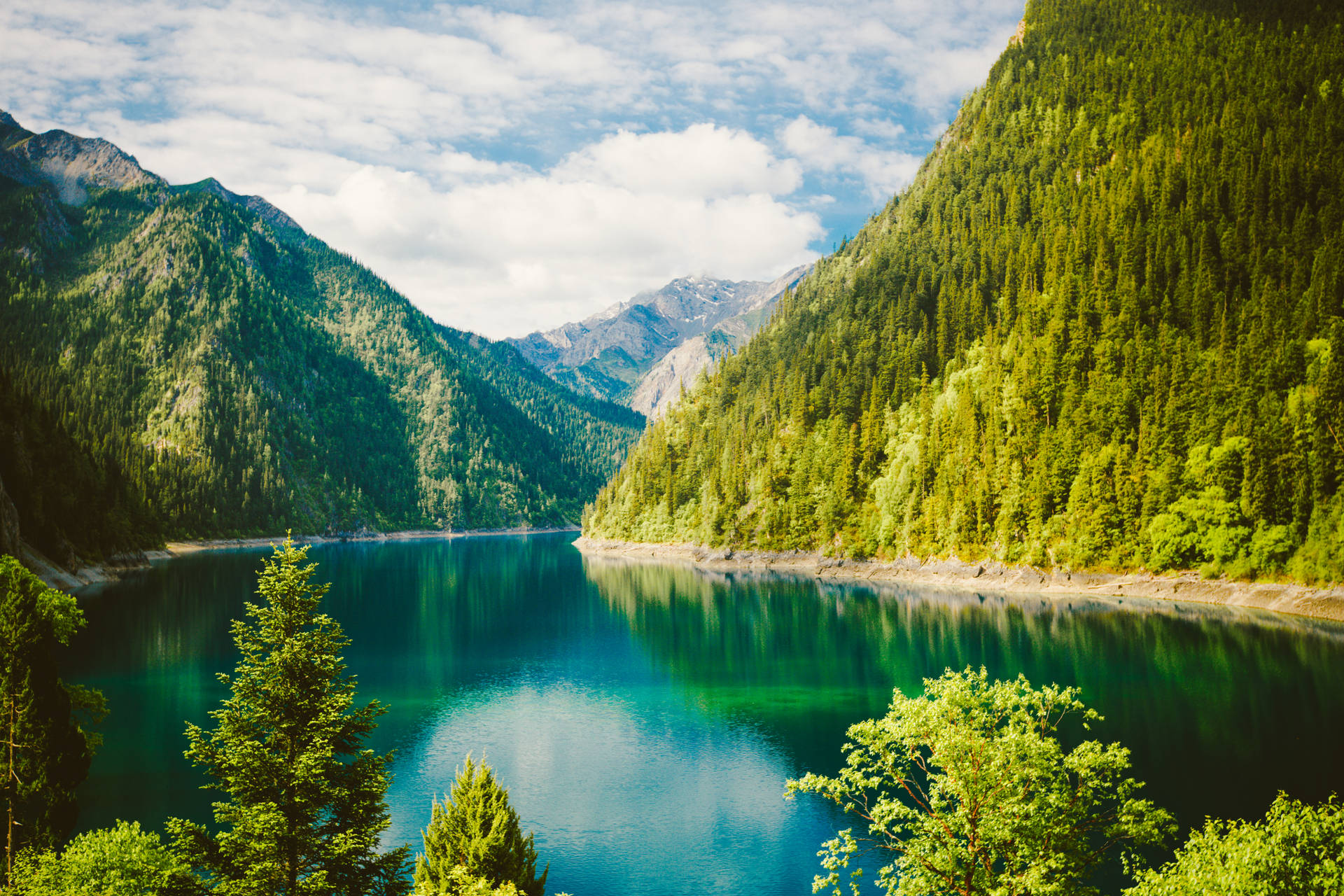 Tapet cu Peisaj Natural Verde — Natură Fundal