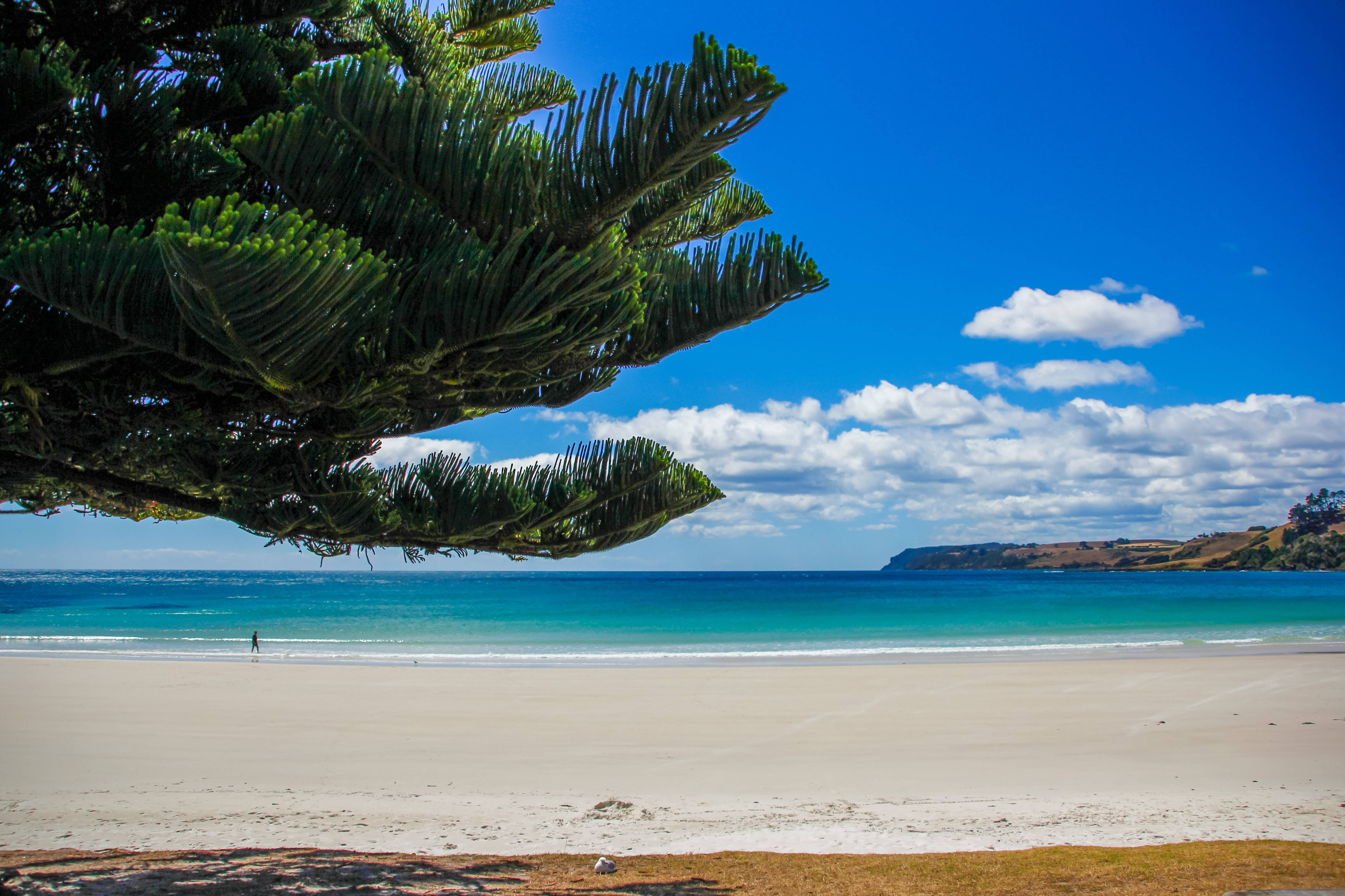 Peisaj ocean South Australia Fundal