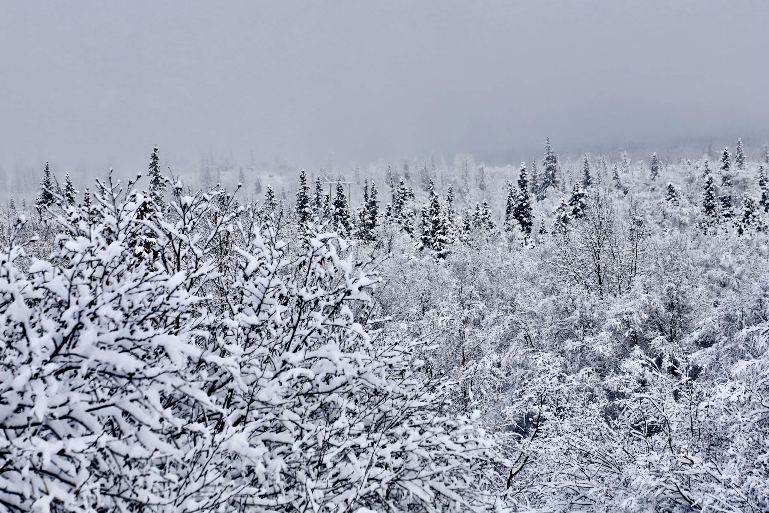 Peisaj panoramica din Anchorage, Alaska Fundal
